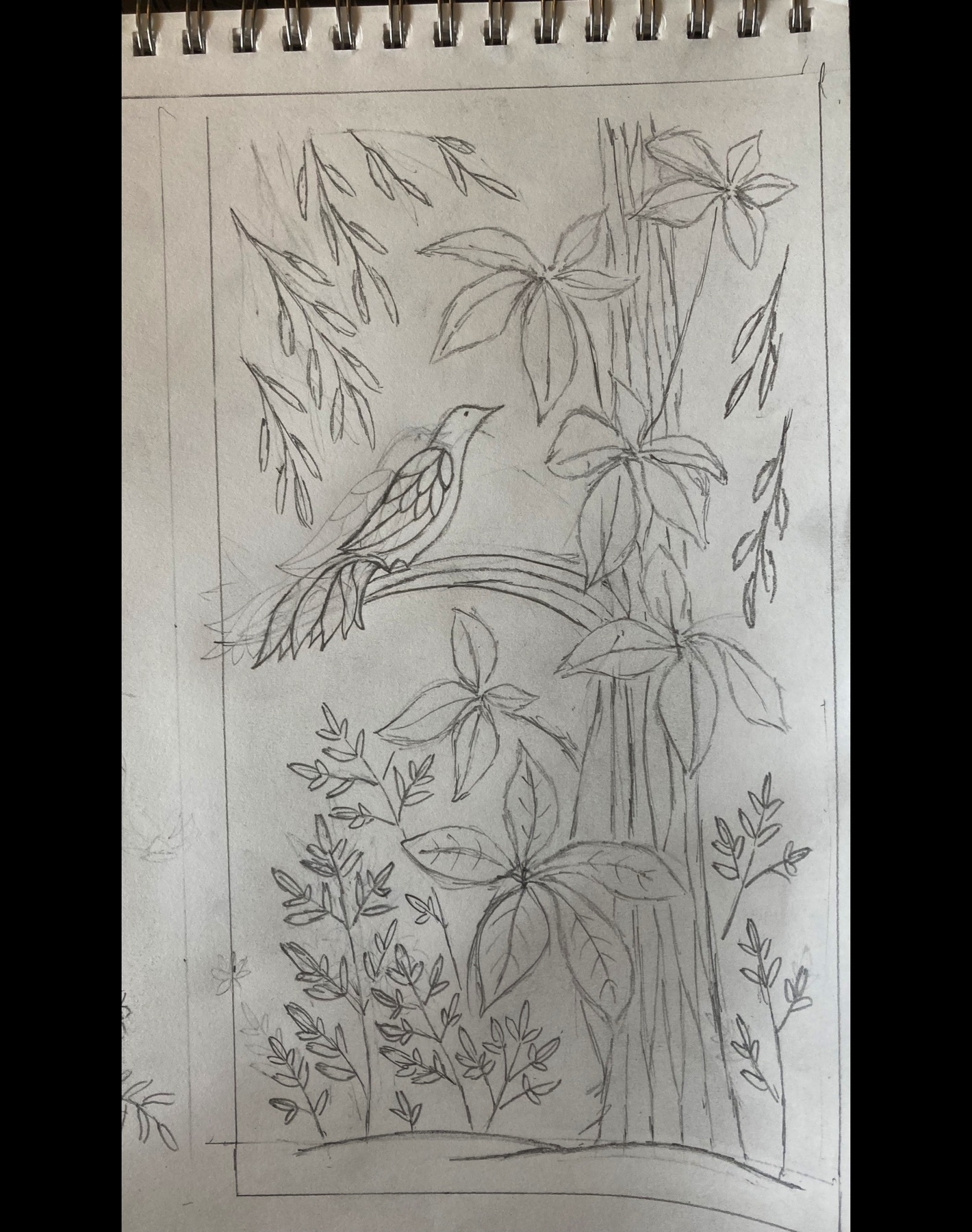 sketch of Virginia creeper, with plans for a carving