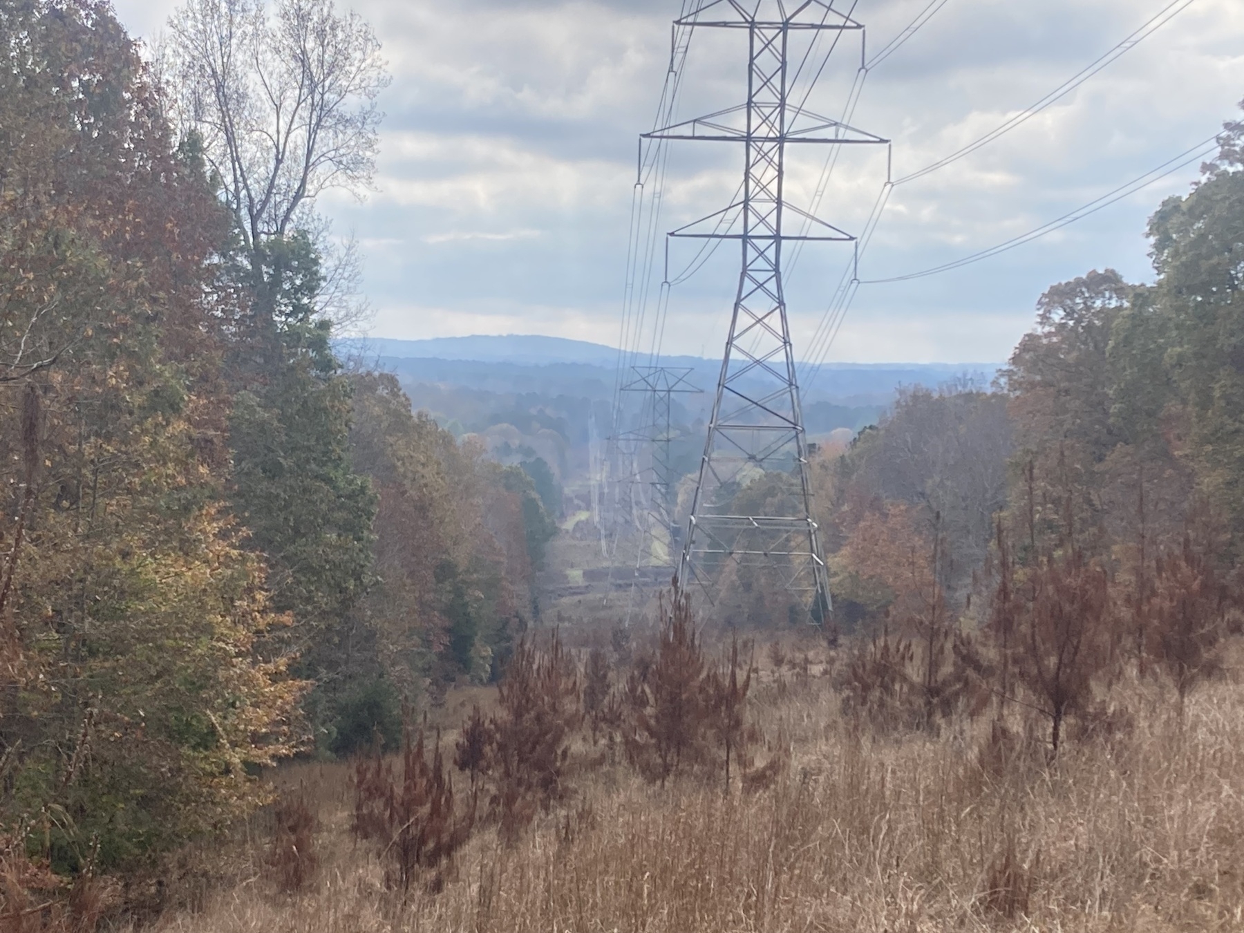 Power lines leading between trees into a distance of blue hills