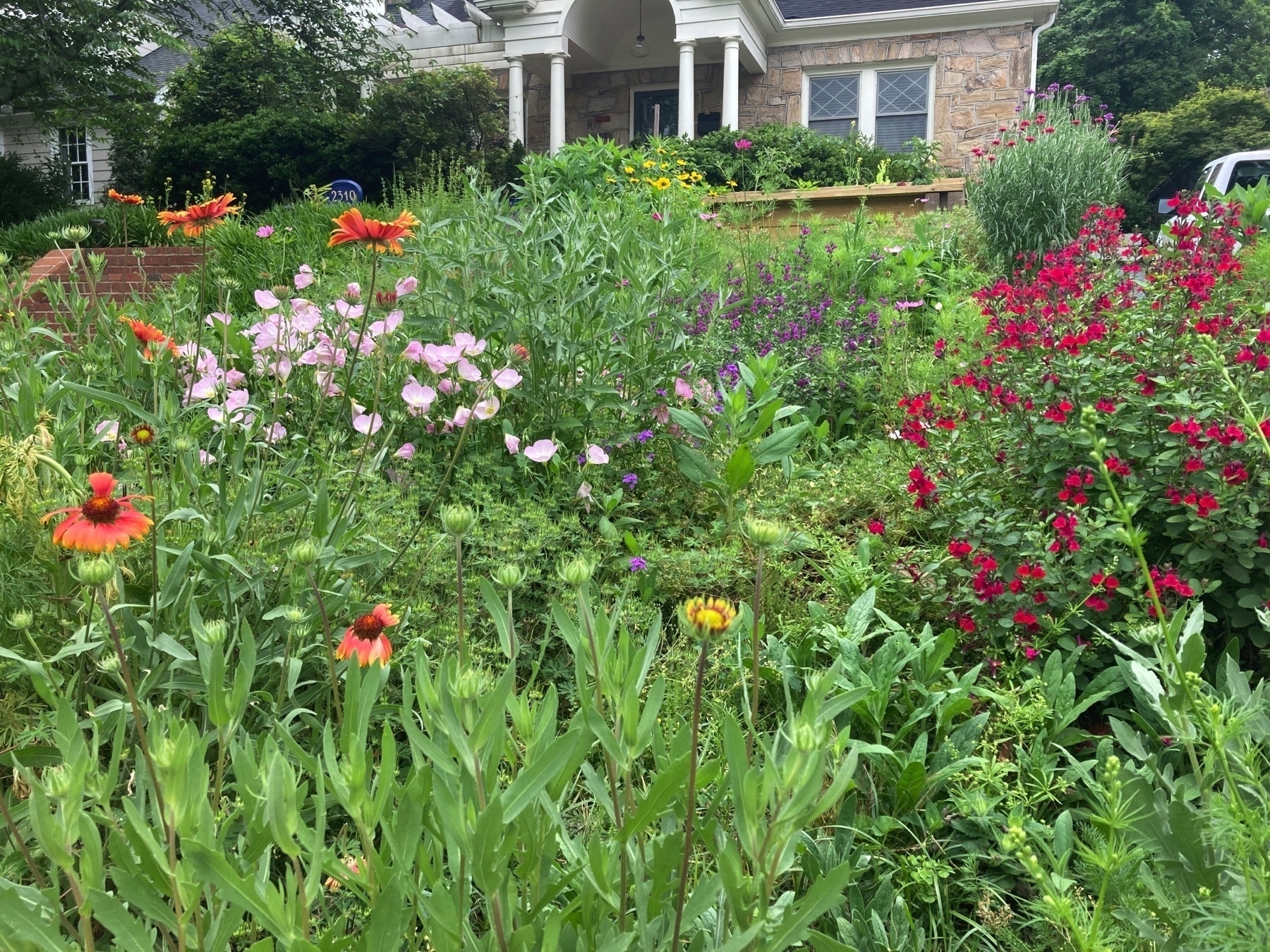 flower garden with profuse and multicolored blooms