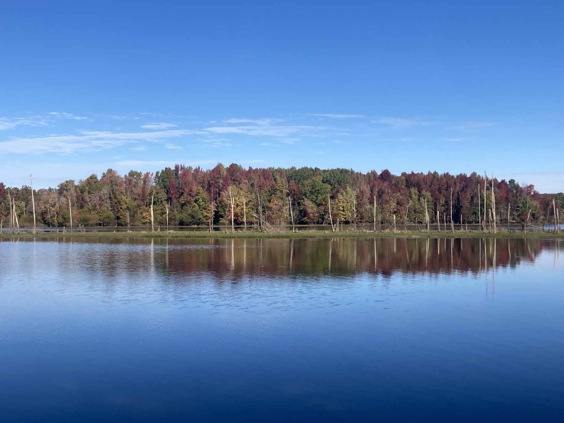 Autumn trees reflected in blue water, blue sky