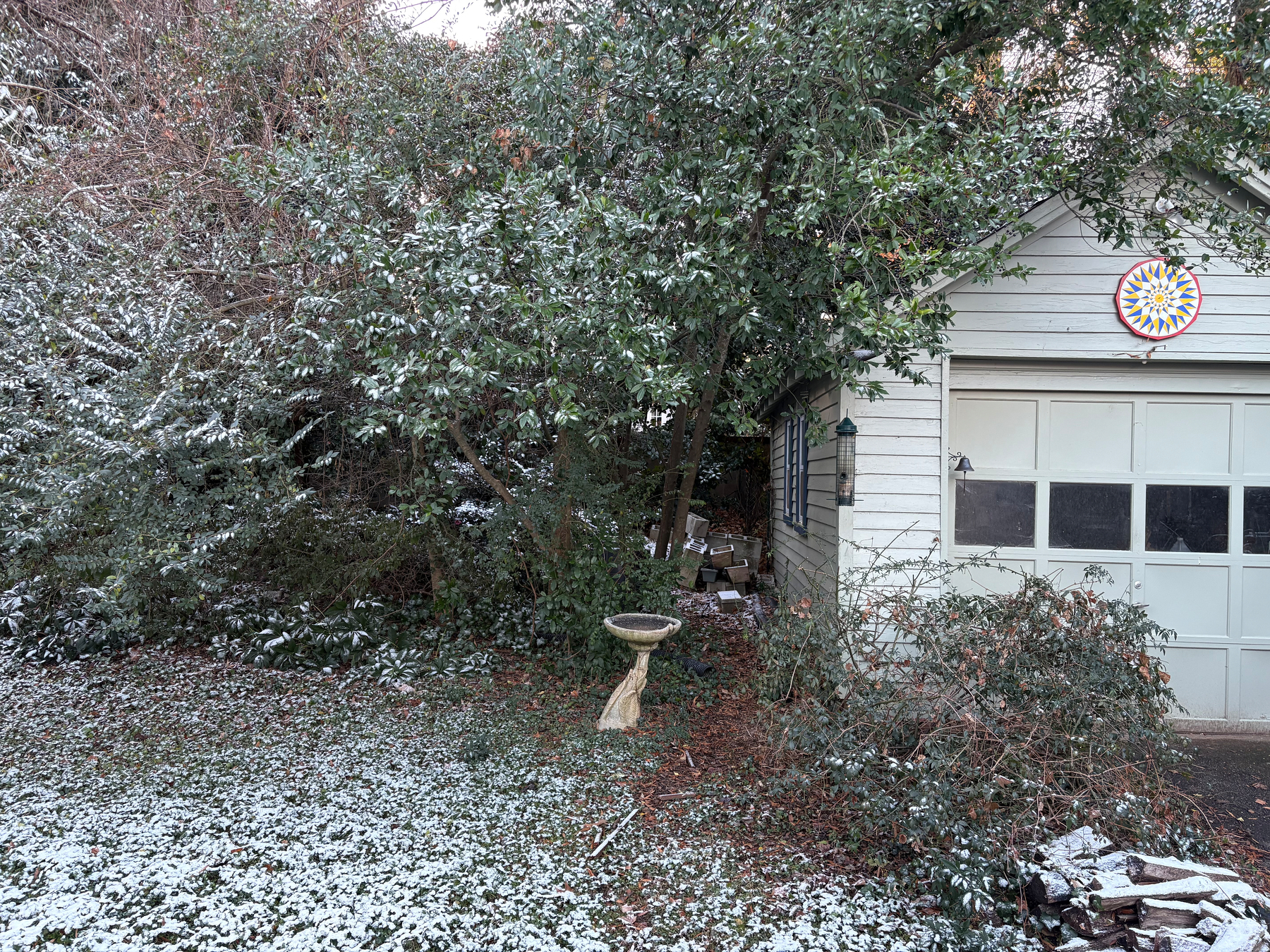 Light dusting of snow in garage trees and grass