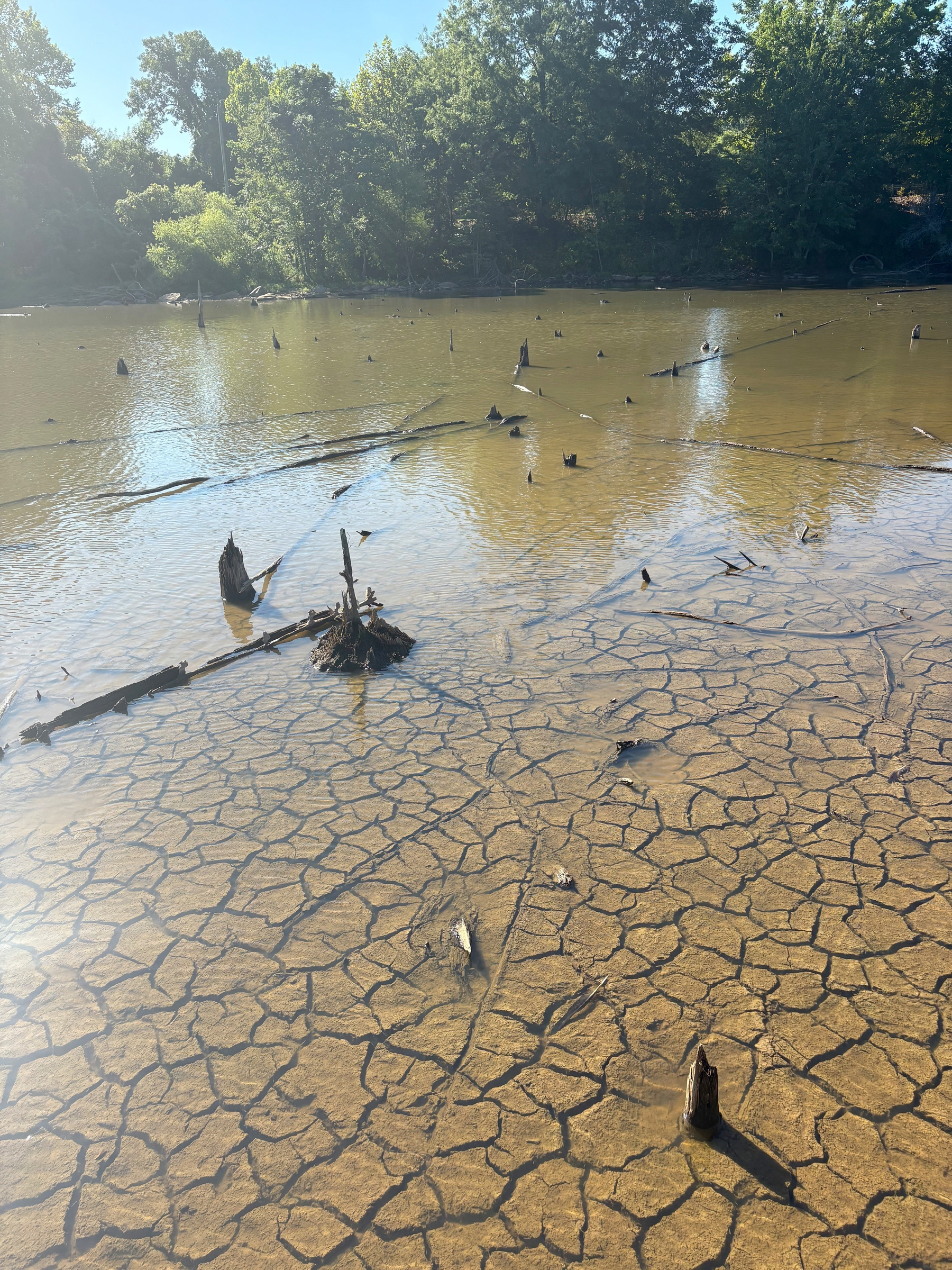 water covering cracked earth by an inch or two