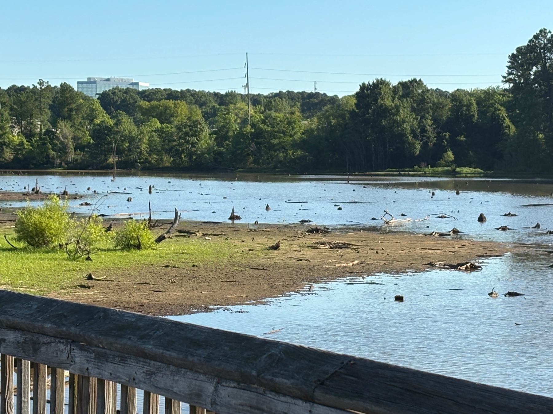 view from the boardwalk, receded water and visible tree stumps