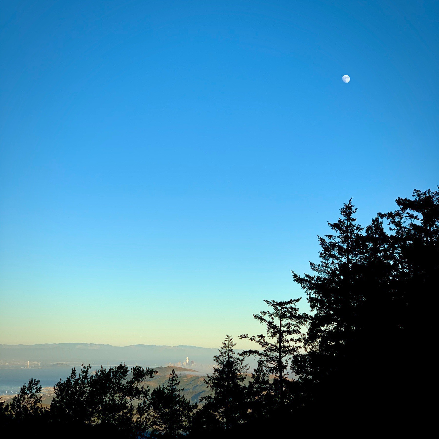 Landscape view of trees and mountain, with nearly full moon at twilight.