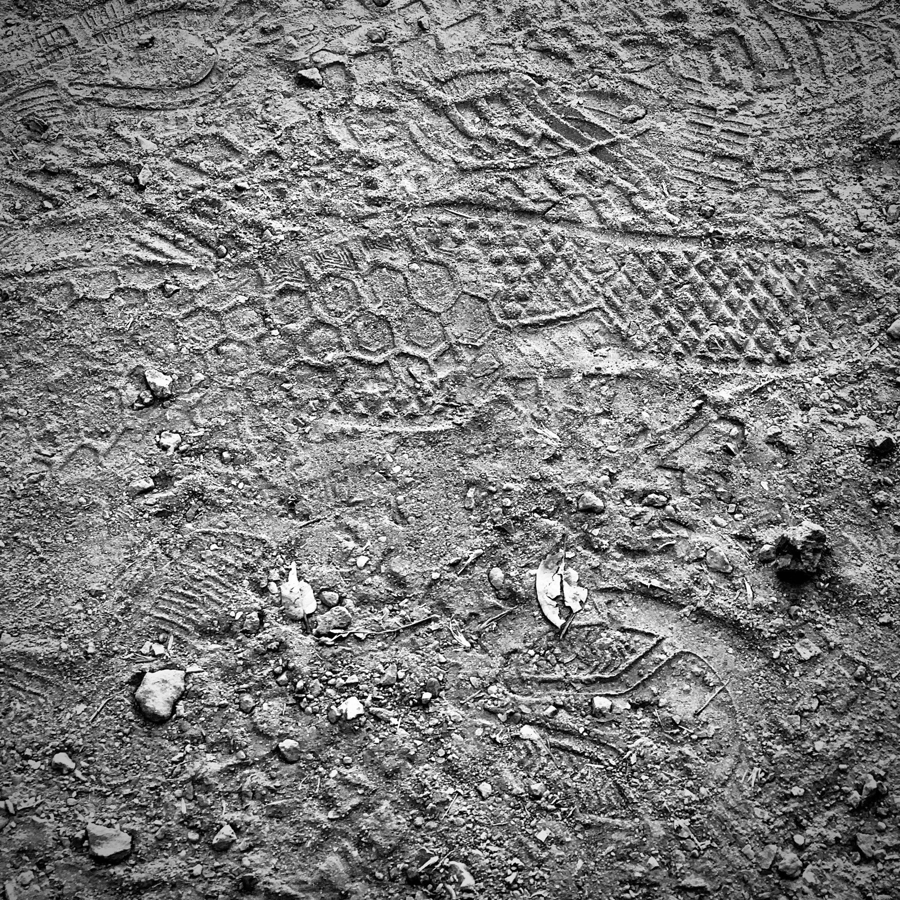 Footprints in dusty rock path, black and white.