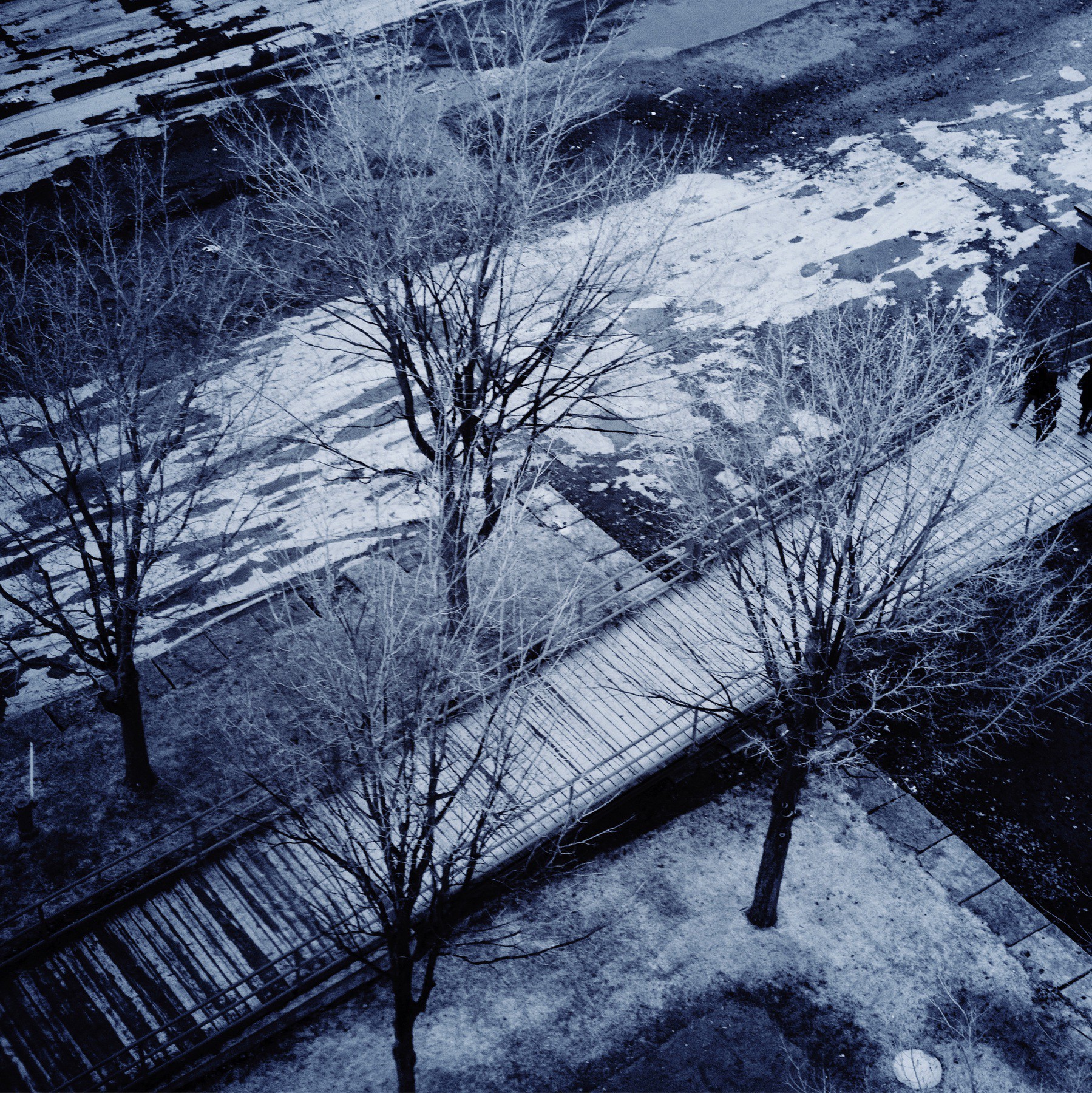 Aerial view of winter trees and wooden walkway in Montreal.