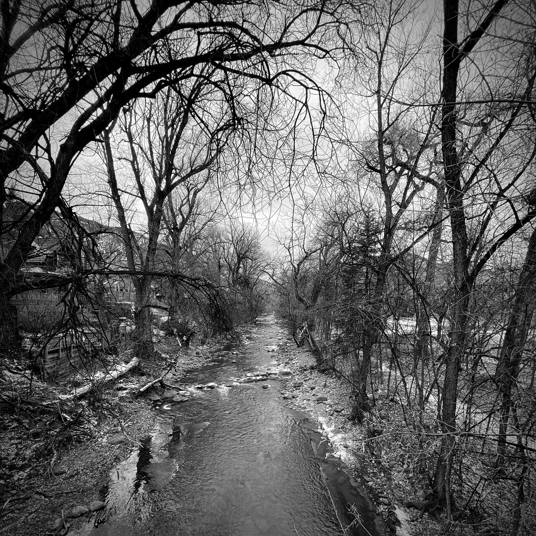 Winter scene of creek and bare trees. 