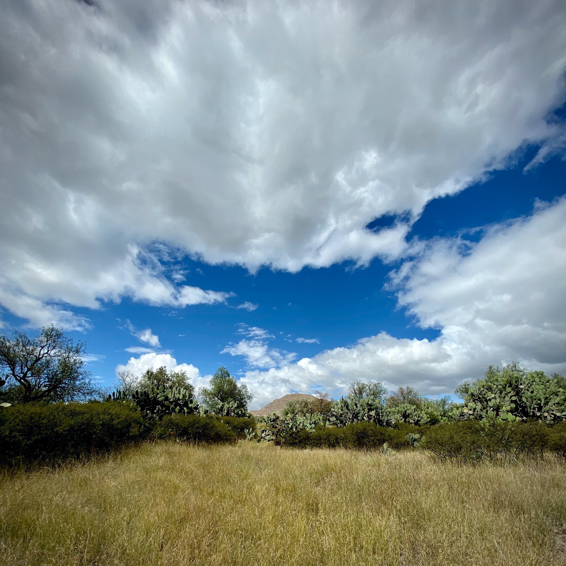 Beautiful clouded sky and meadow in Mexico. 