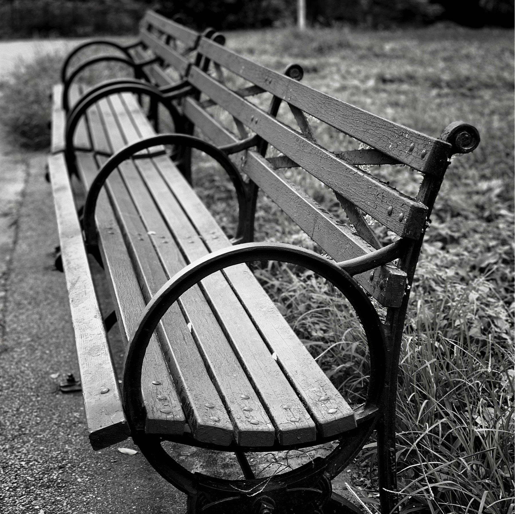 Black and white park bench.