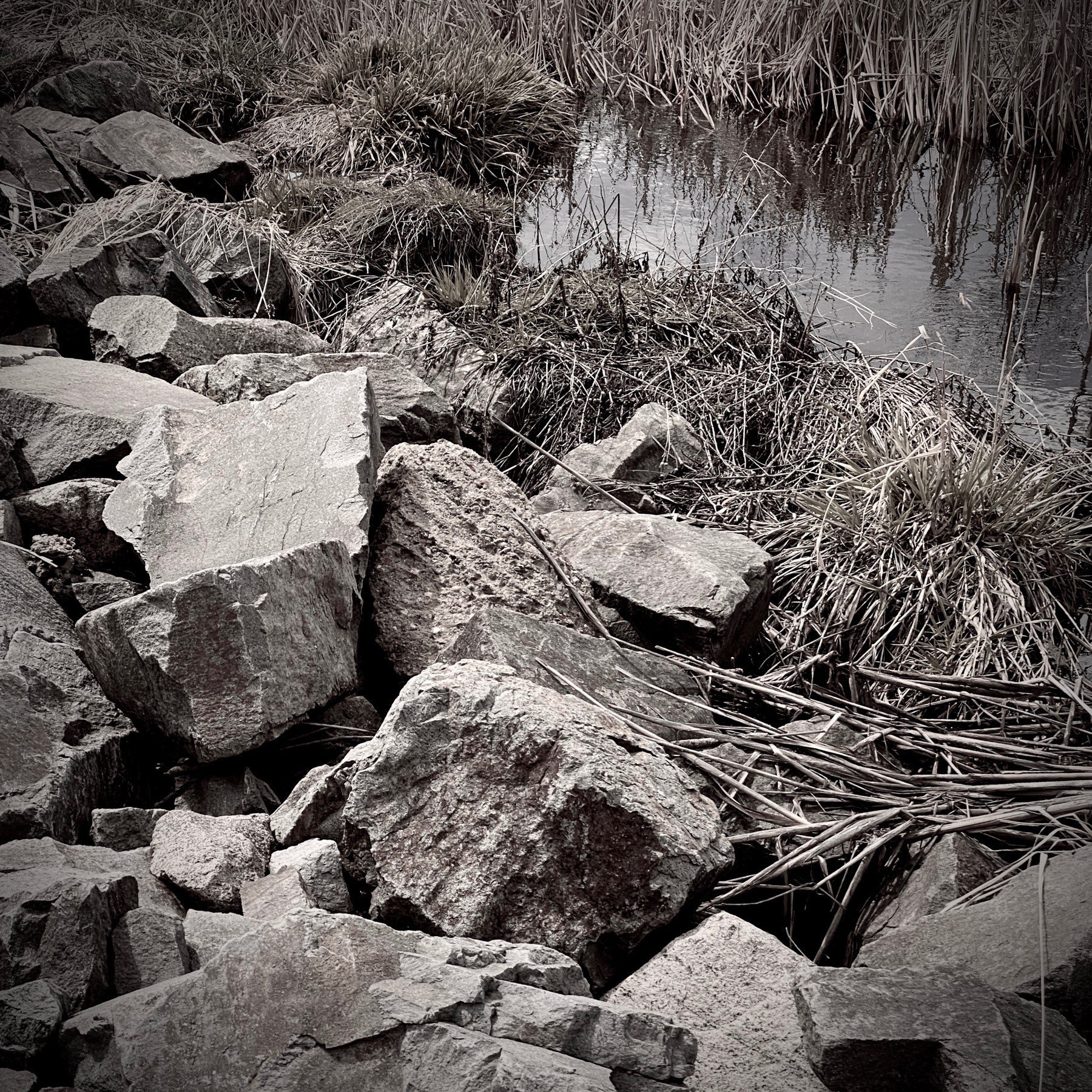 Rocks along a creek. 