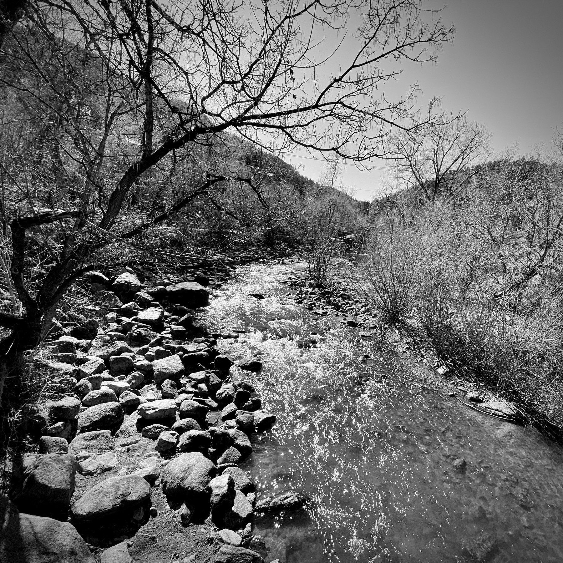 Black and white shot of Boulder Creek in early Spring. 