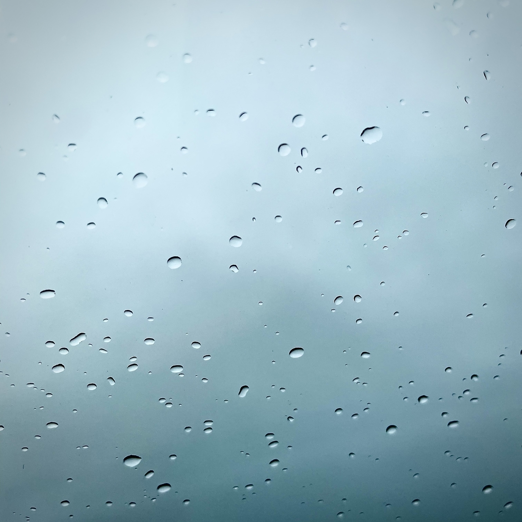Raindrops on a car windshield.