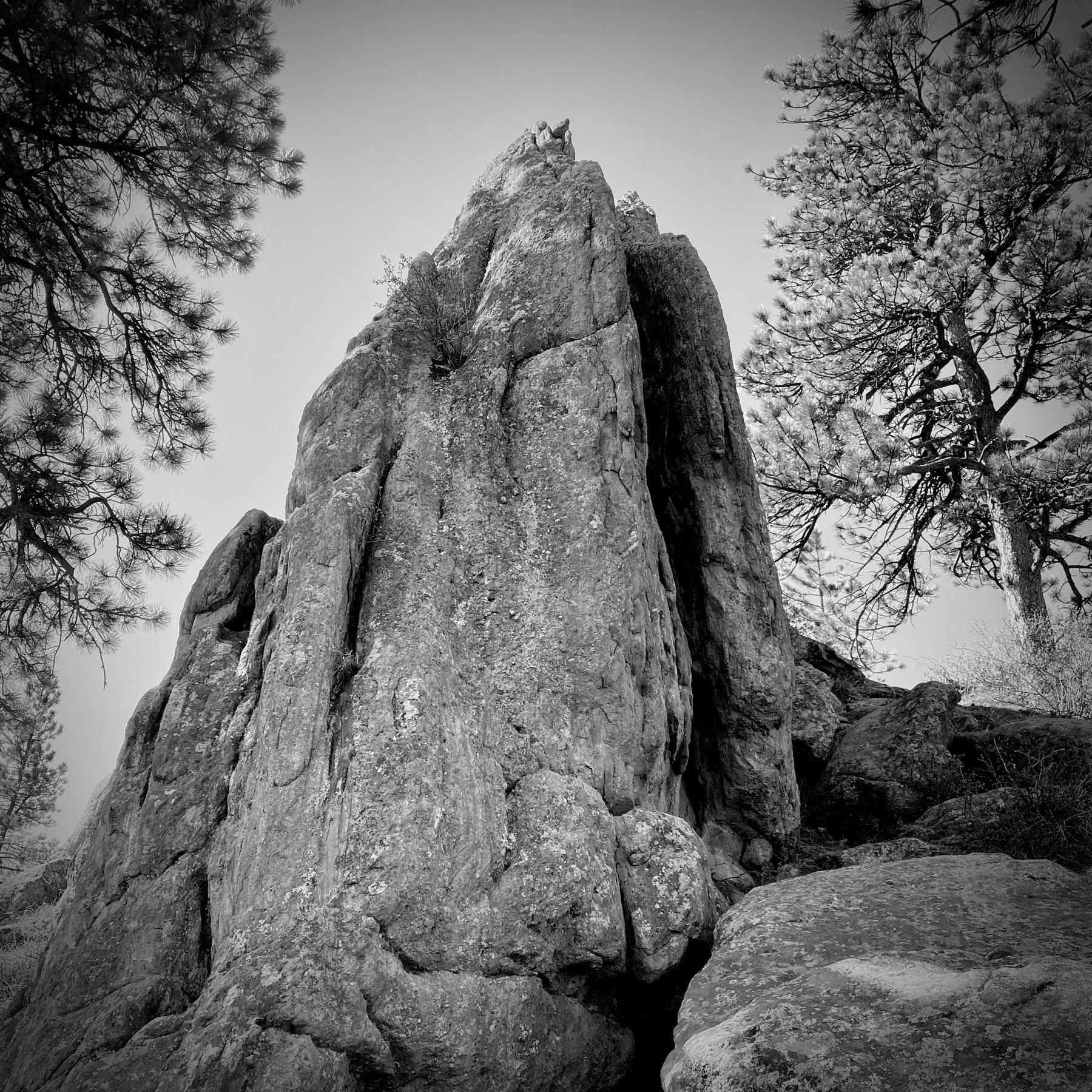 Natural stone formation with trees, black and white. 