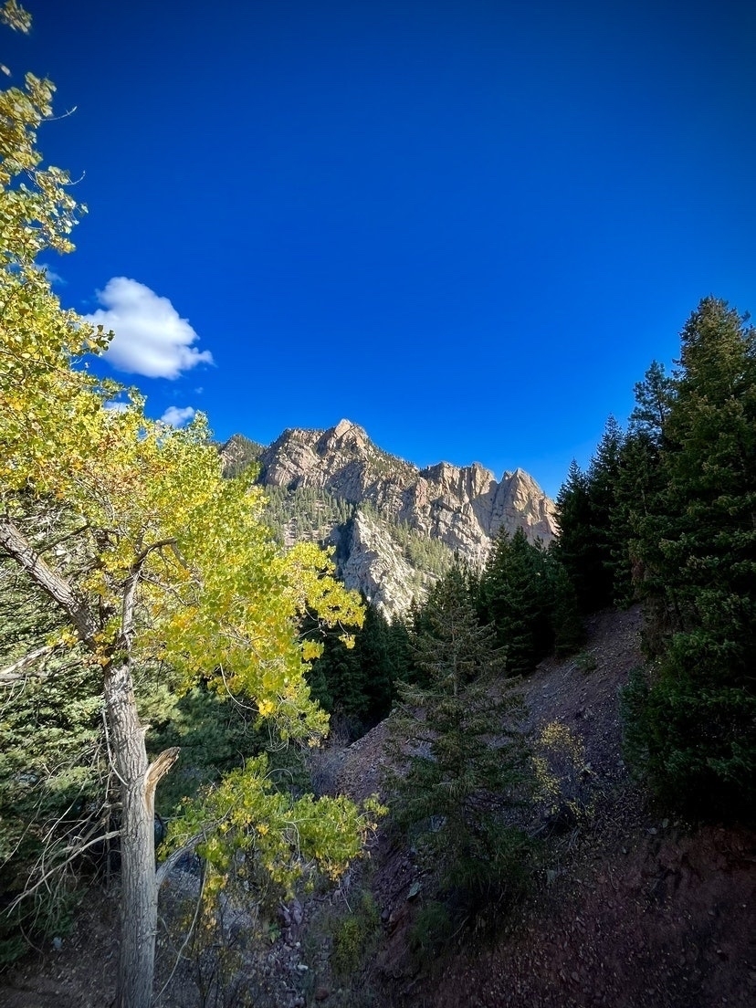 El Dorado Canyon. Fall trees. Blue sky. 