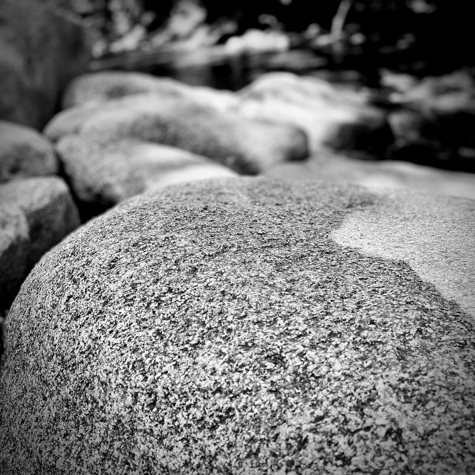 Stone along a creek bed. Black and White. 