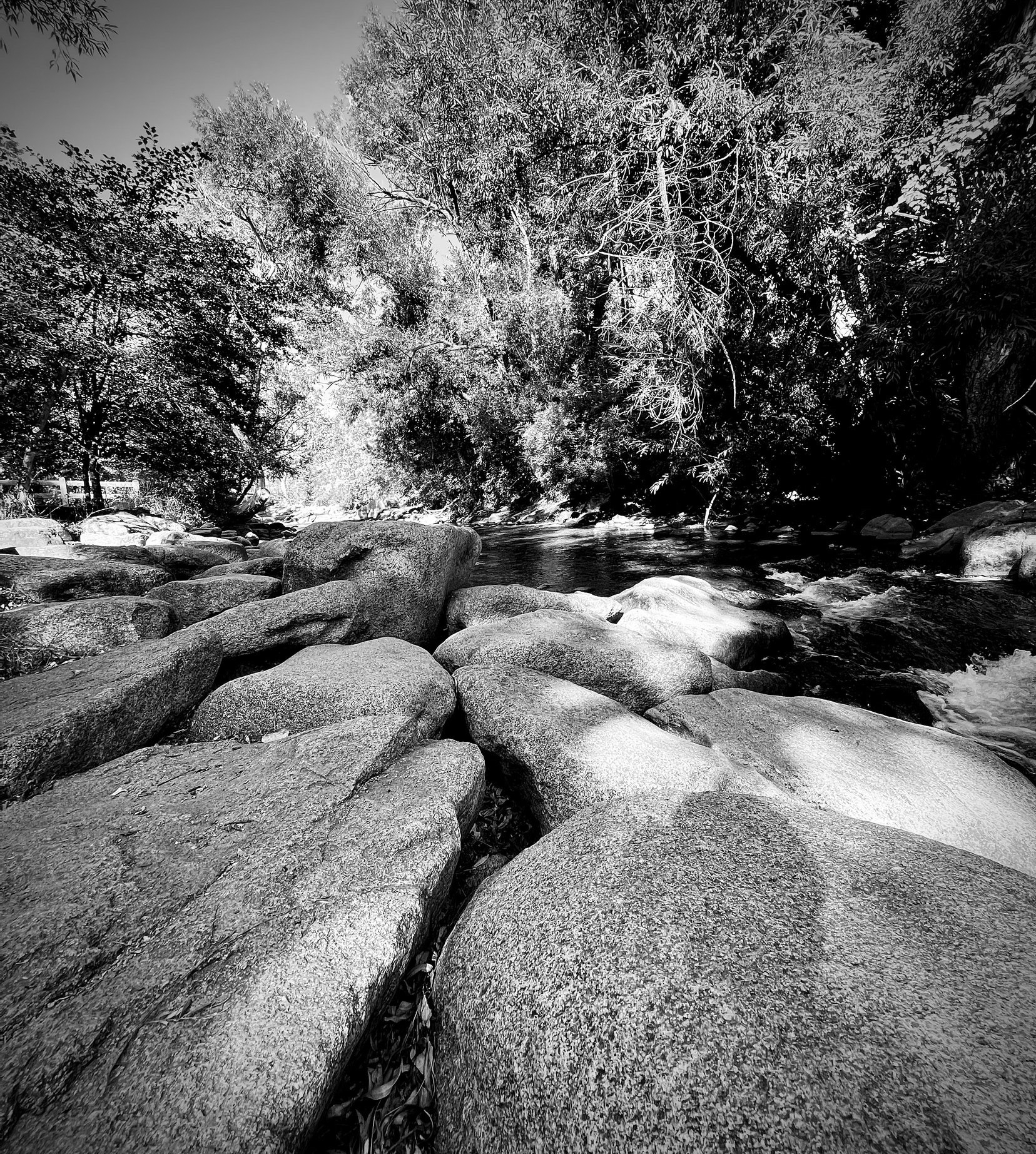 Stones by a creek. Black and White. 