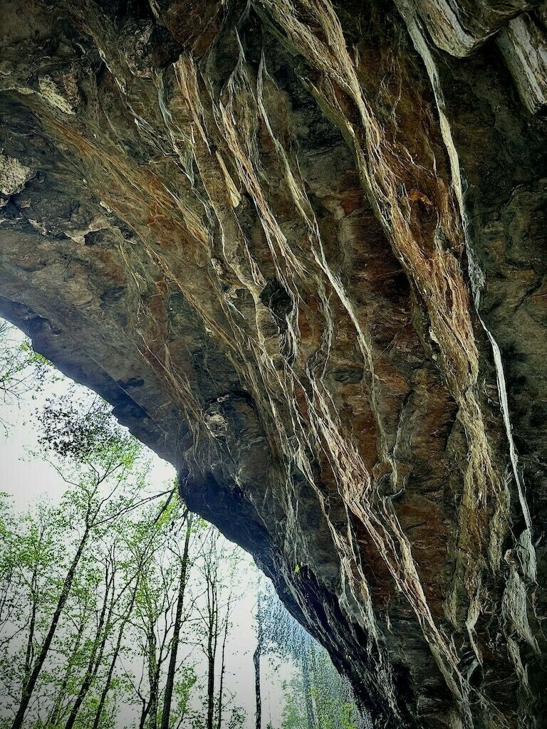 Looking up at the inside of a waterfall cave, with maple trees outside