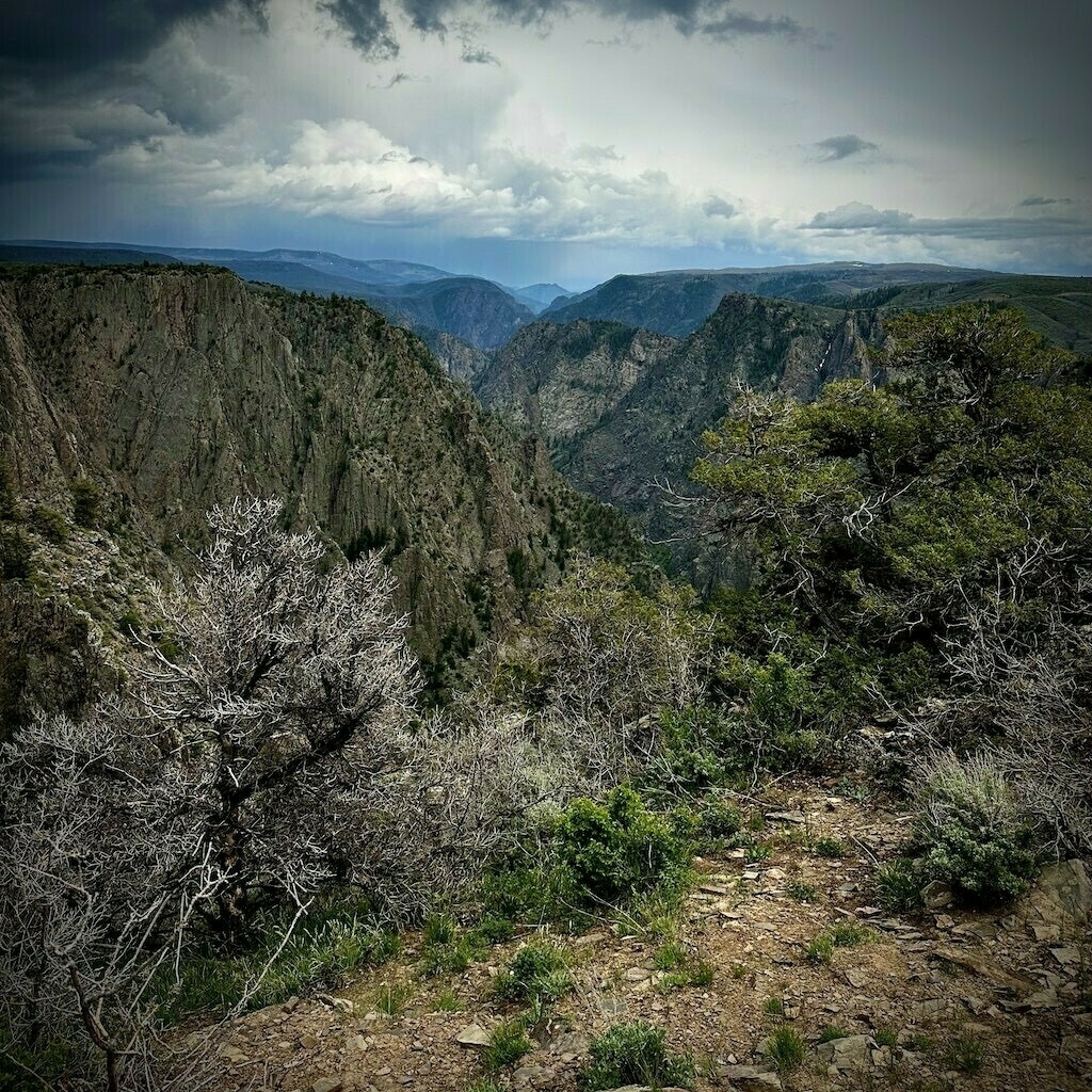 Deep canyon with bushes and trees and a clouded sky