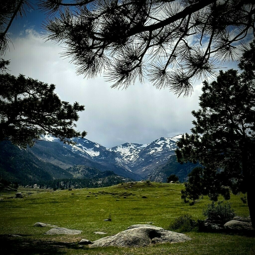 distant snow capped mountains, framed by pine trees, green hills in mid ground
