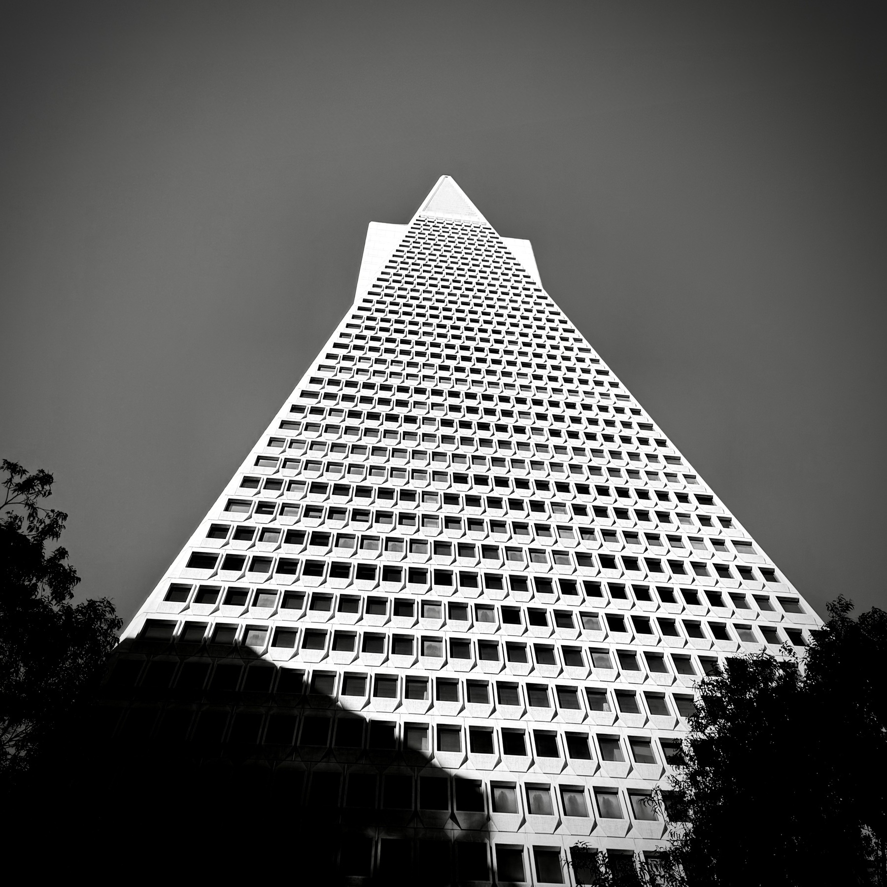 Trans America pyramid taken from bottom. Clear sky. Black and white. 