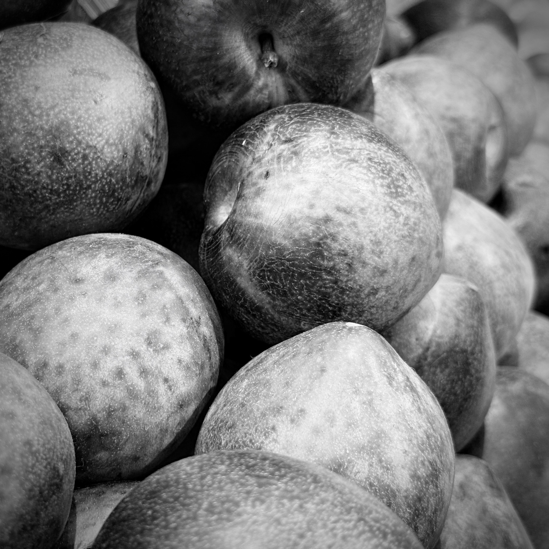 Stack of Pluots. Black and White