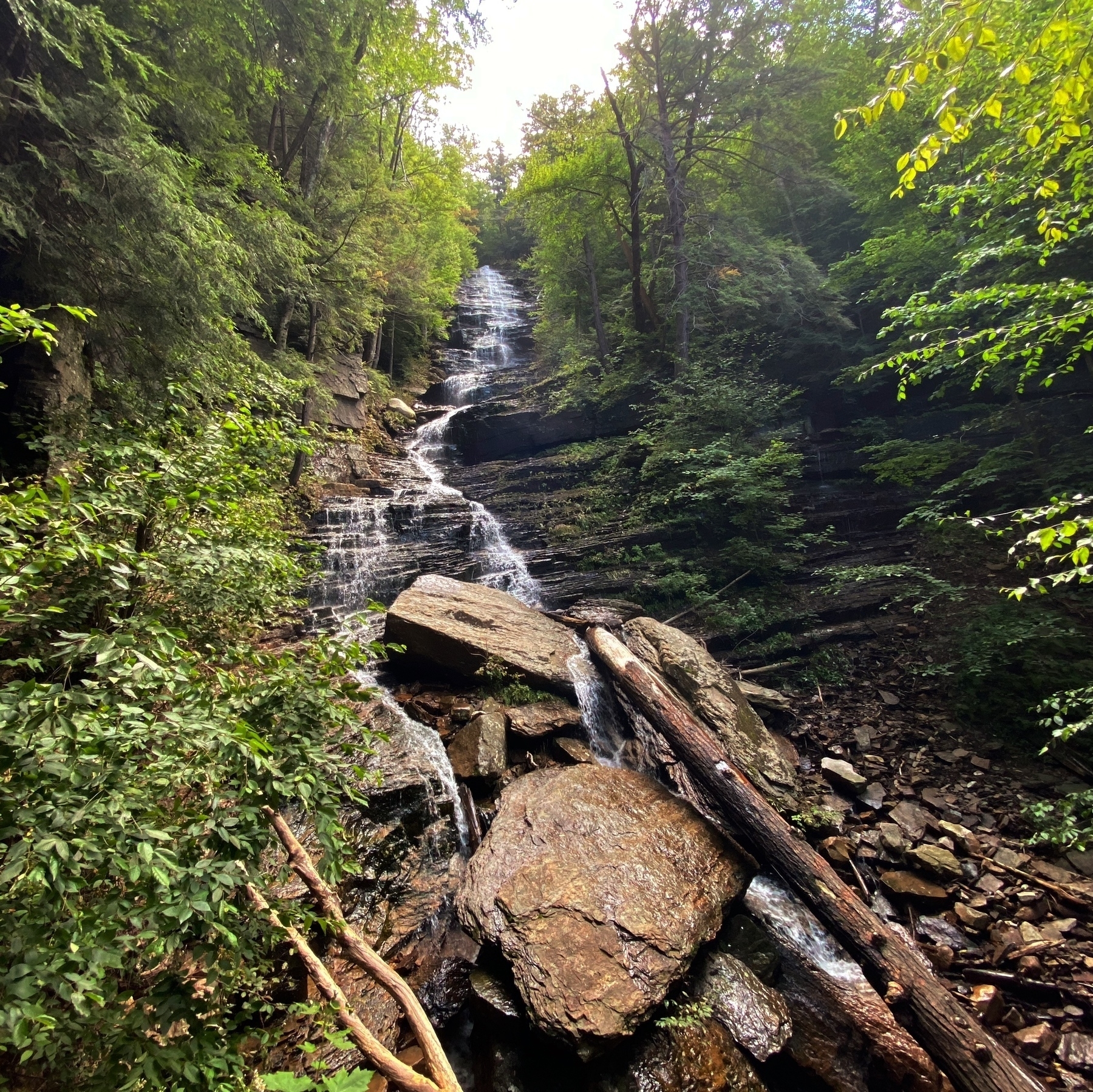 A tall waterfall comes down over rocks, with woods on both sides