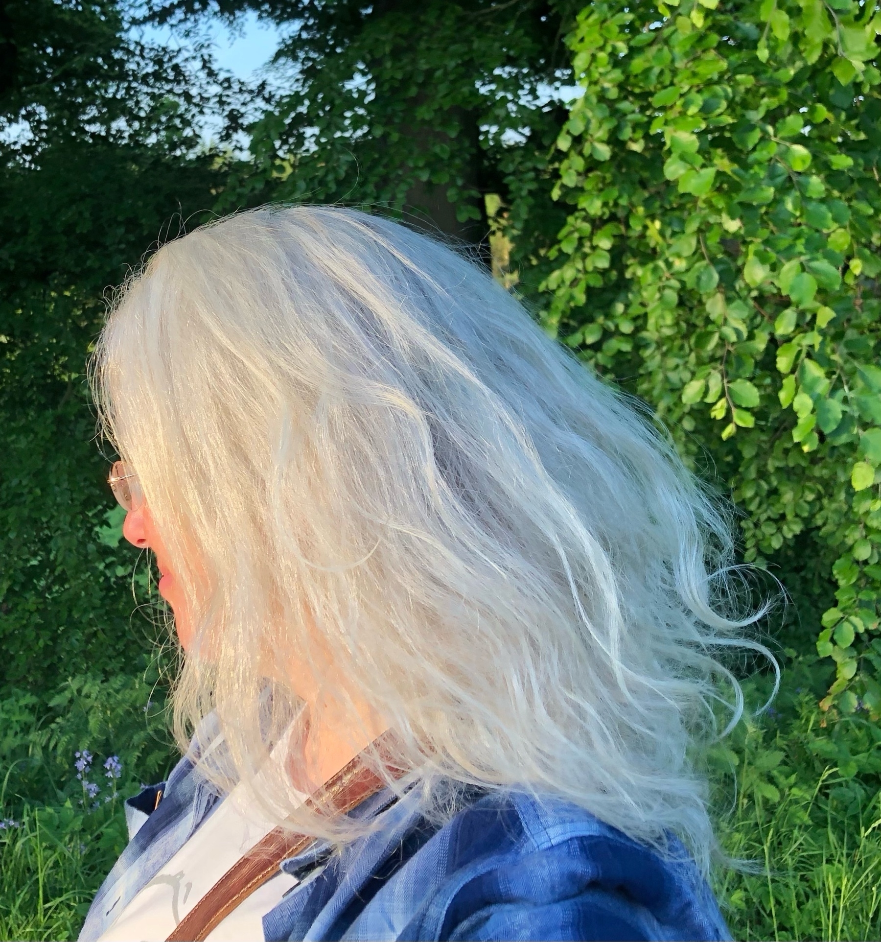 Close-up of golden, silver, long hair shining in the sun