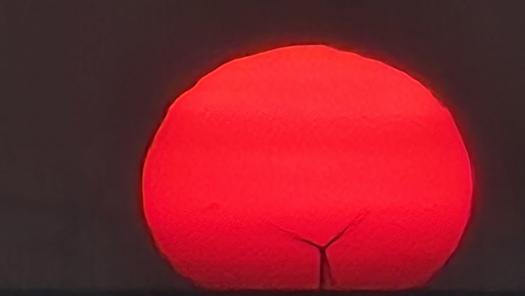 Red sunset with wind turbine in foreground