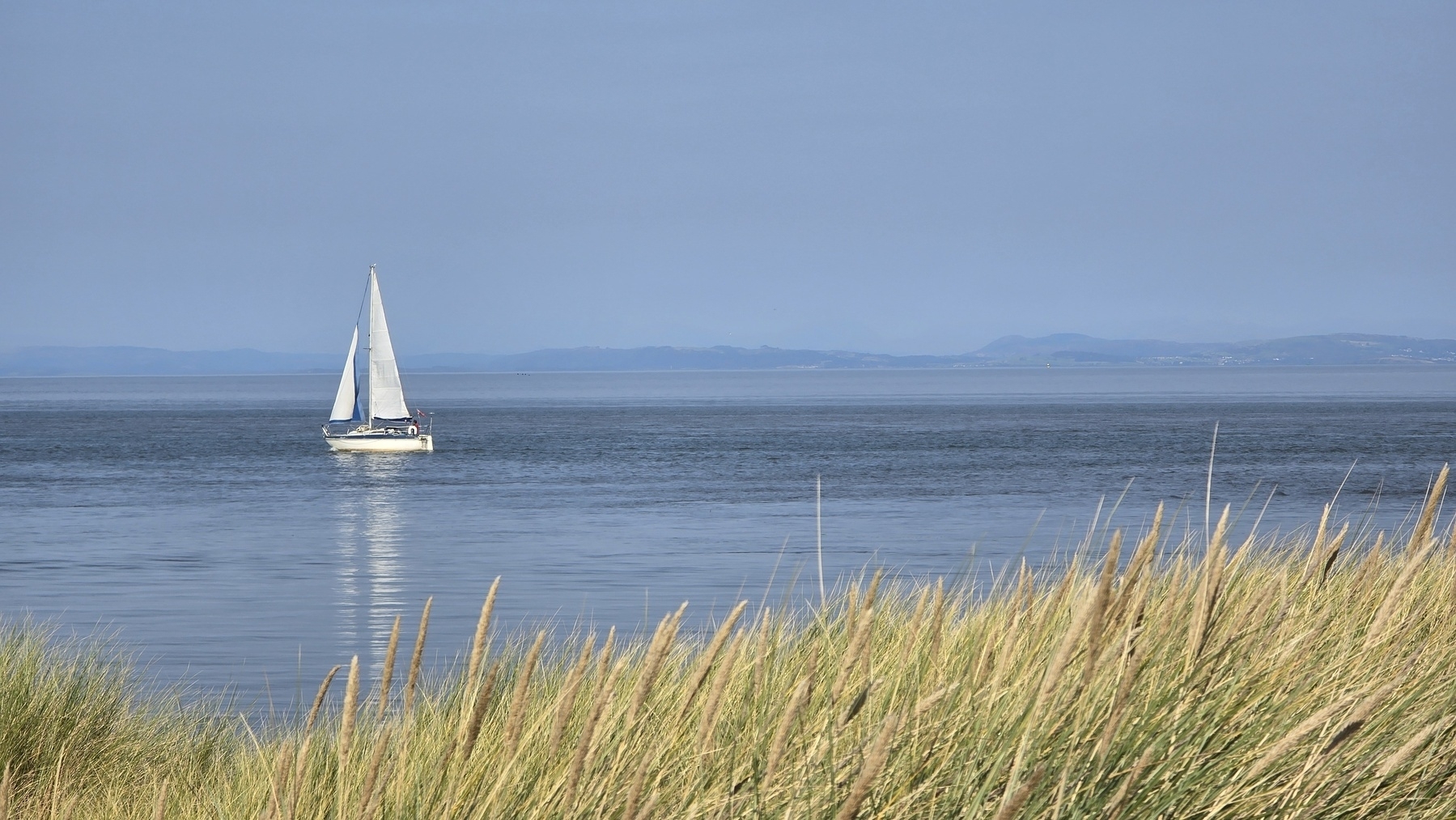 Sailing boat on a calm sea with golden grass in the foreground, the sun shines, the sky and sea are blue. 