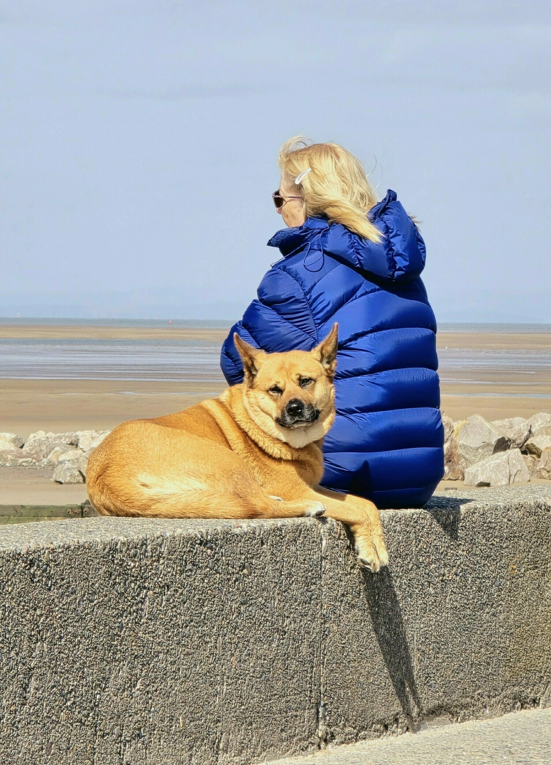 Lady in a purple coat sitting with her tan,  foxy looking dog