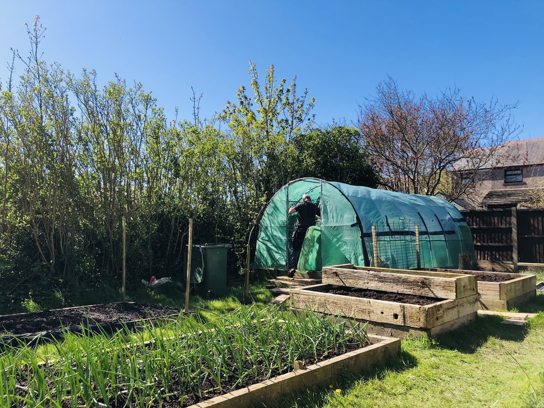 Garden in the sun with a polytunnel and raised beds