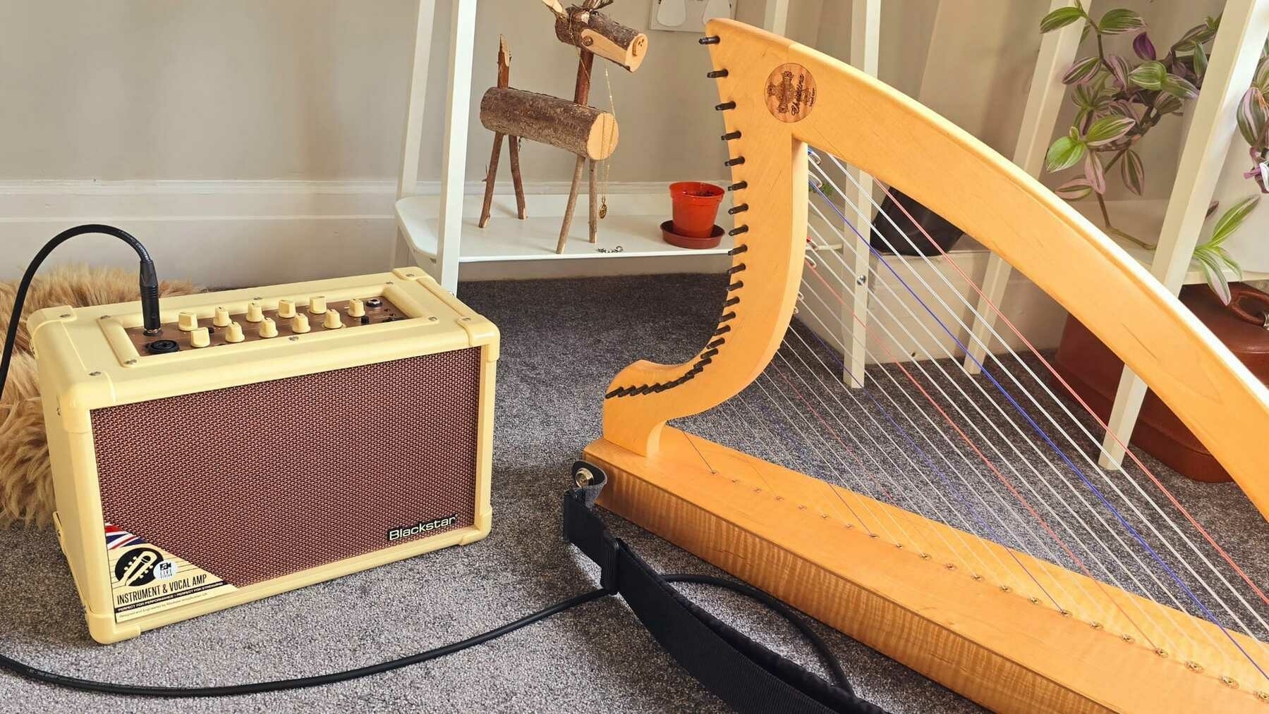 harp and amp resting on a carpet