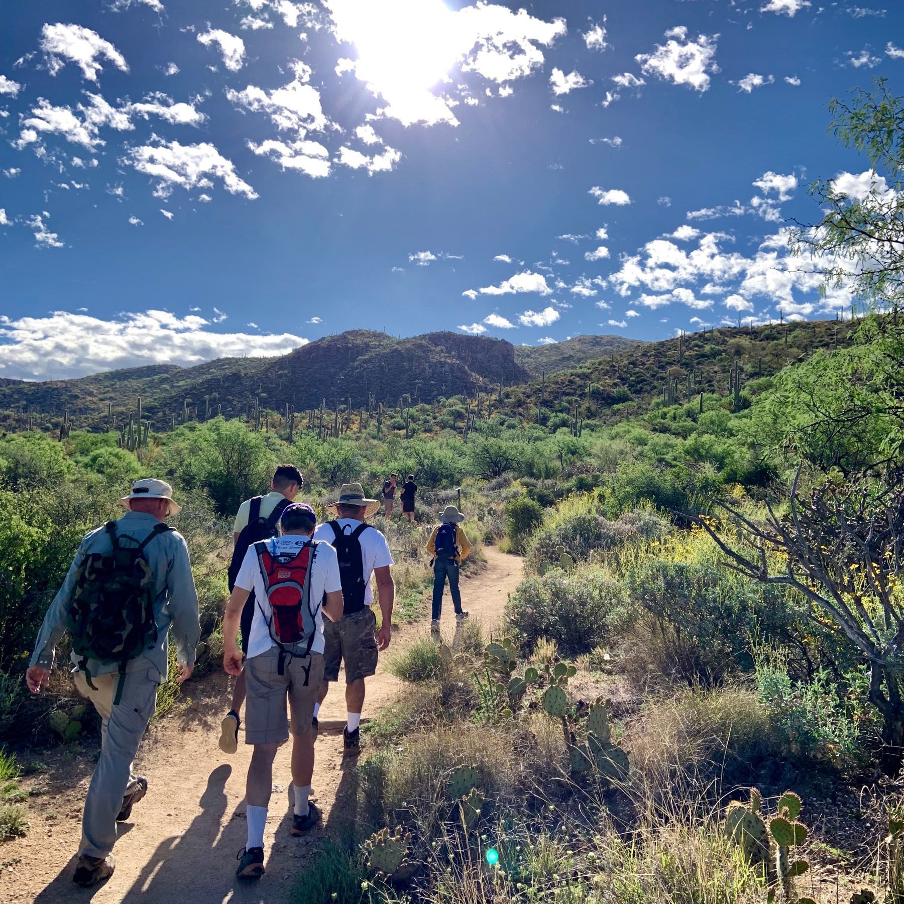 on the Douglas Springs Trail just eat of Tucson