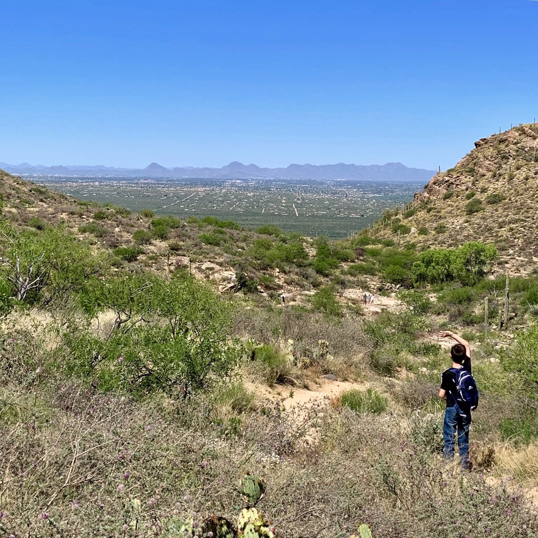 a view of Tucson looking from the mountains in the east