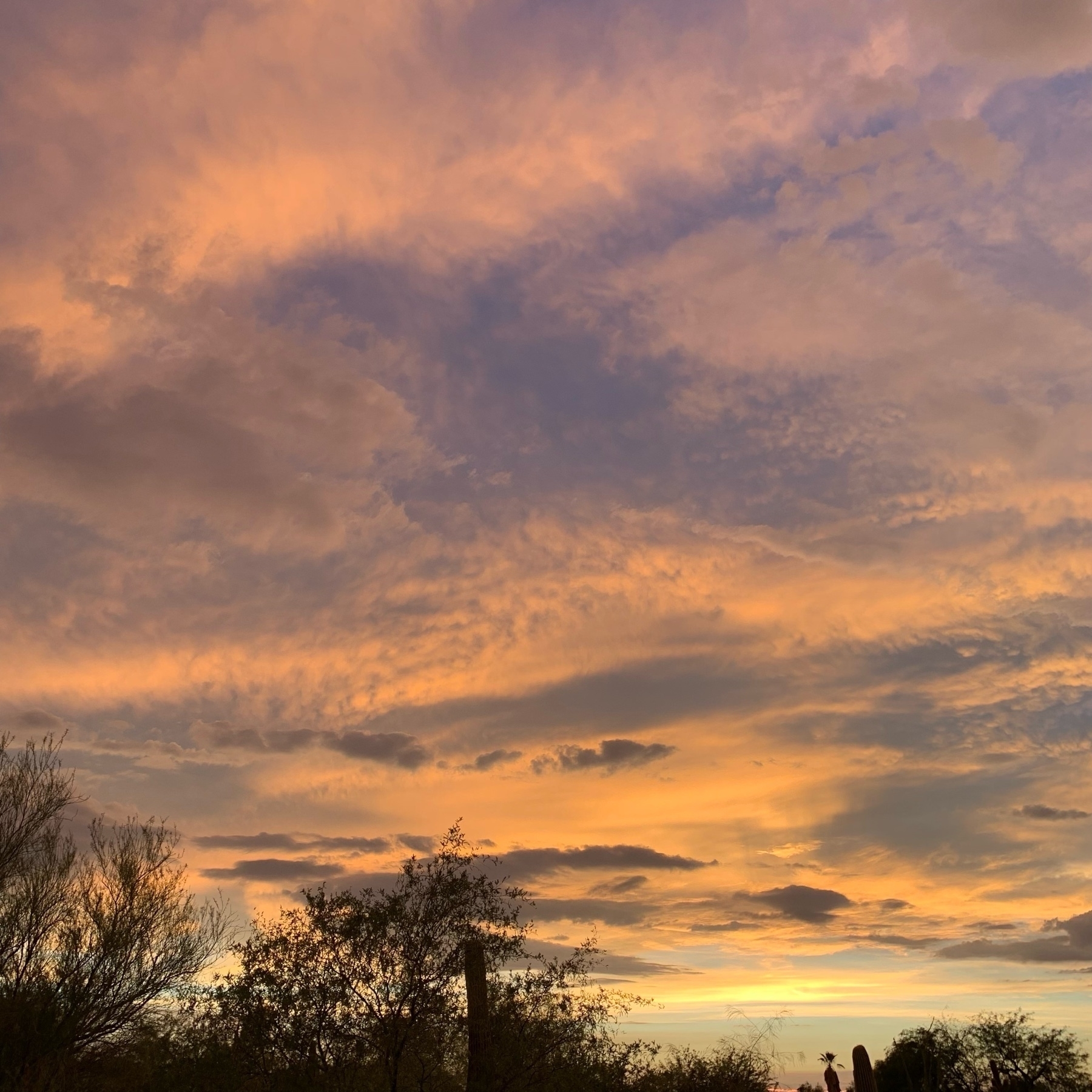July sunset in Tucson