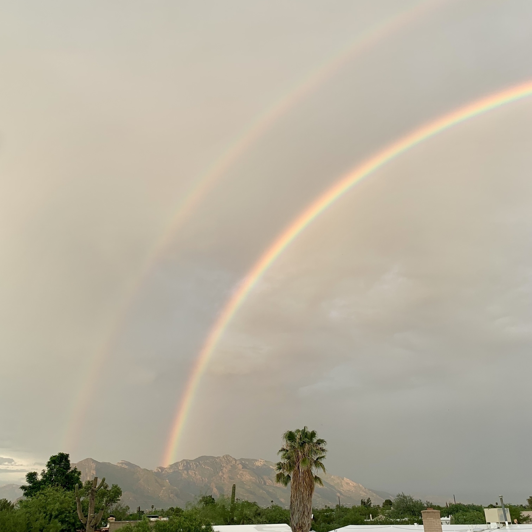 a double rainbow over the Santa Catalina Mountains