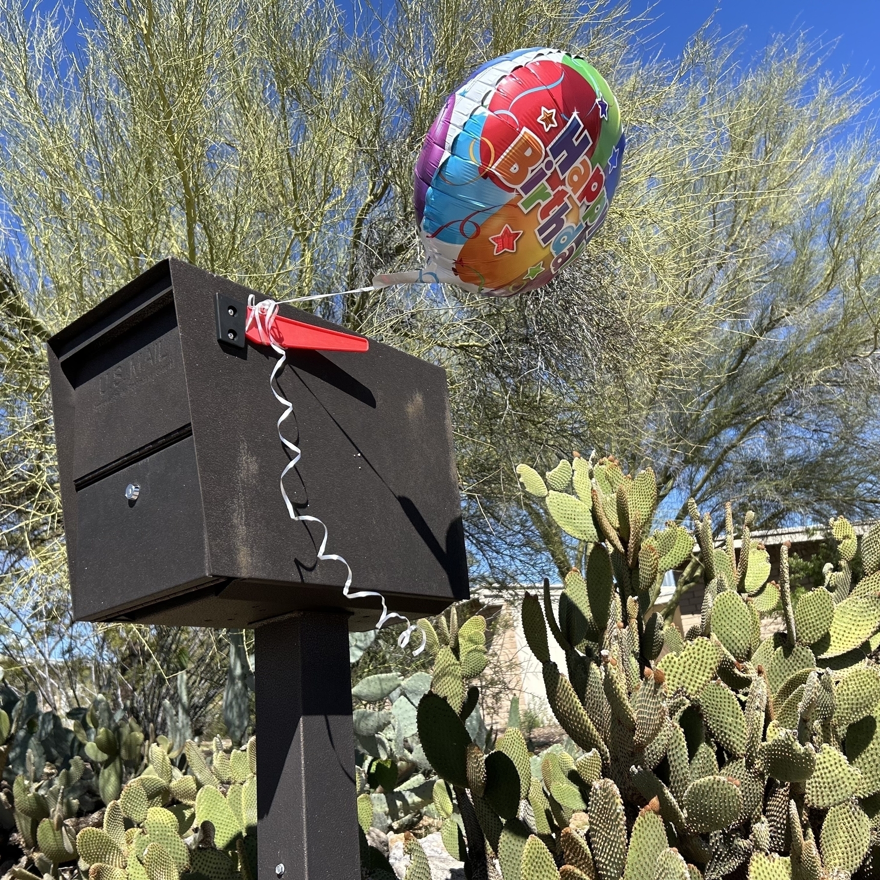 A "Happy Birthday" balloon tied to a mailbox flies in the wind. Prickly pear cactus and a mesquite tree are in the background.