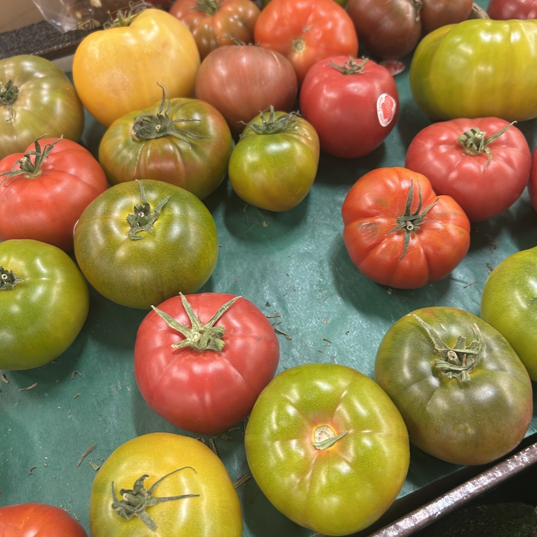 A variety of colorful tomatoes at the grocery store.