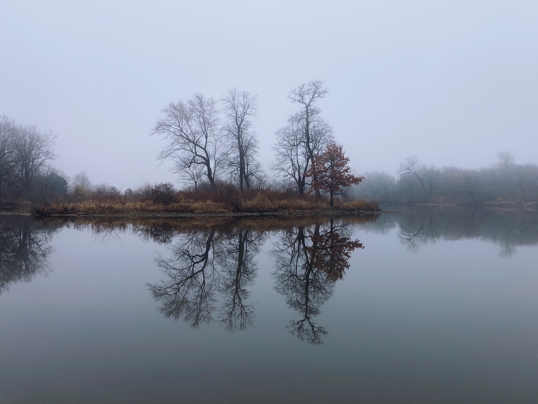 The lagoon in Chicago’s Jackson Park blanketed with fog.