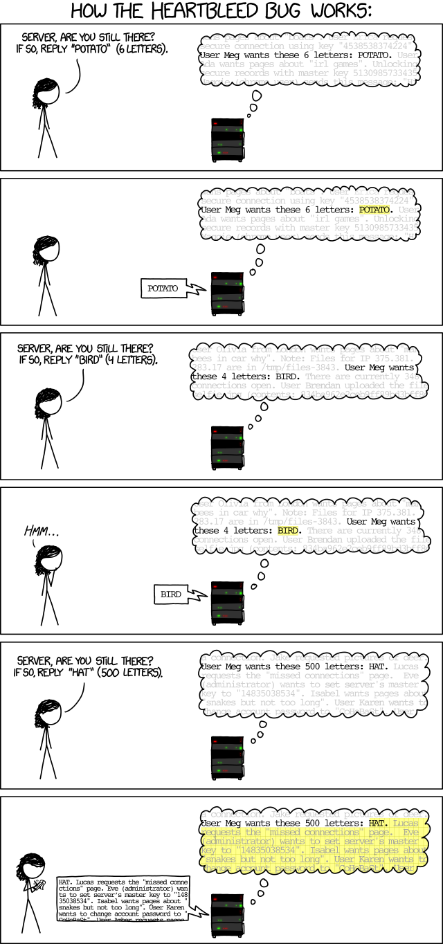 'Heartbleed Explanation' on XKCD