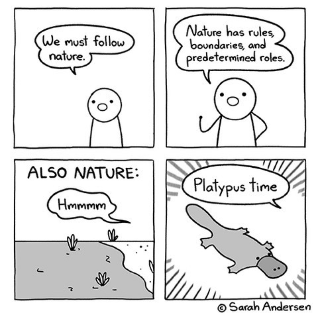 4-pane comic by Sarah Andersen. On the first pane a person says we must follow nature. On the second pane the person expands to say that nature has rules, boundaries, and predetermined roles. On the third pane a beach can be seen, and a thought bubble attributed to nature thinks hmmmm…. On the last pane a the title says Platypus time and a Platypus can be seen from the top down. 