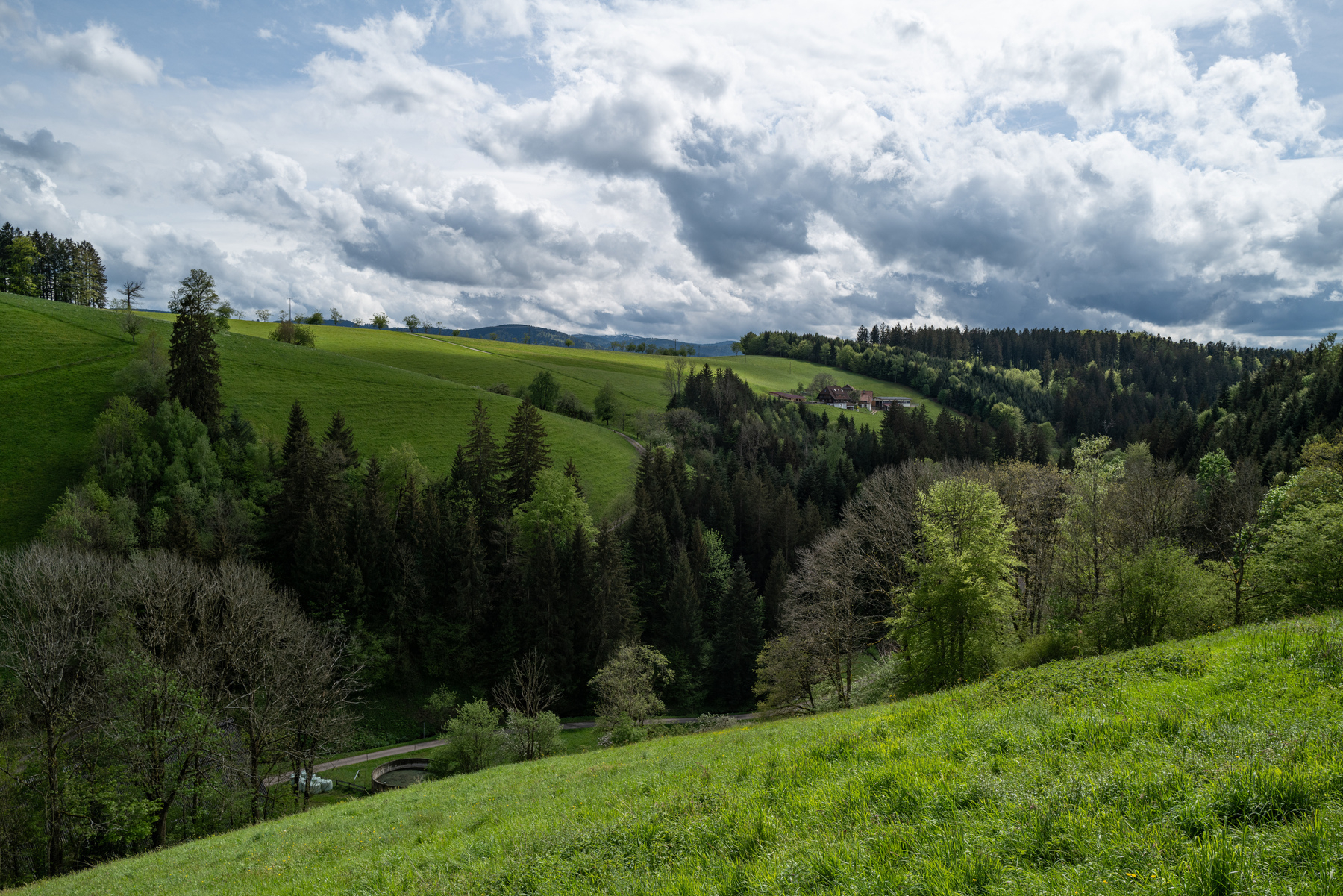 Vista overlooking a valley with fields and forests. All shades of green are represented. In the distance the mountains of the southern Black Forest have remainders of snow speckling the mountain tops. The clouds vary in color from dark to white, creating stark contrasts. 