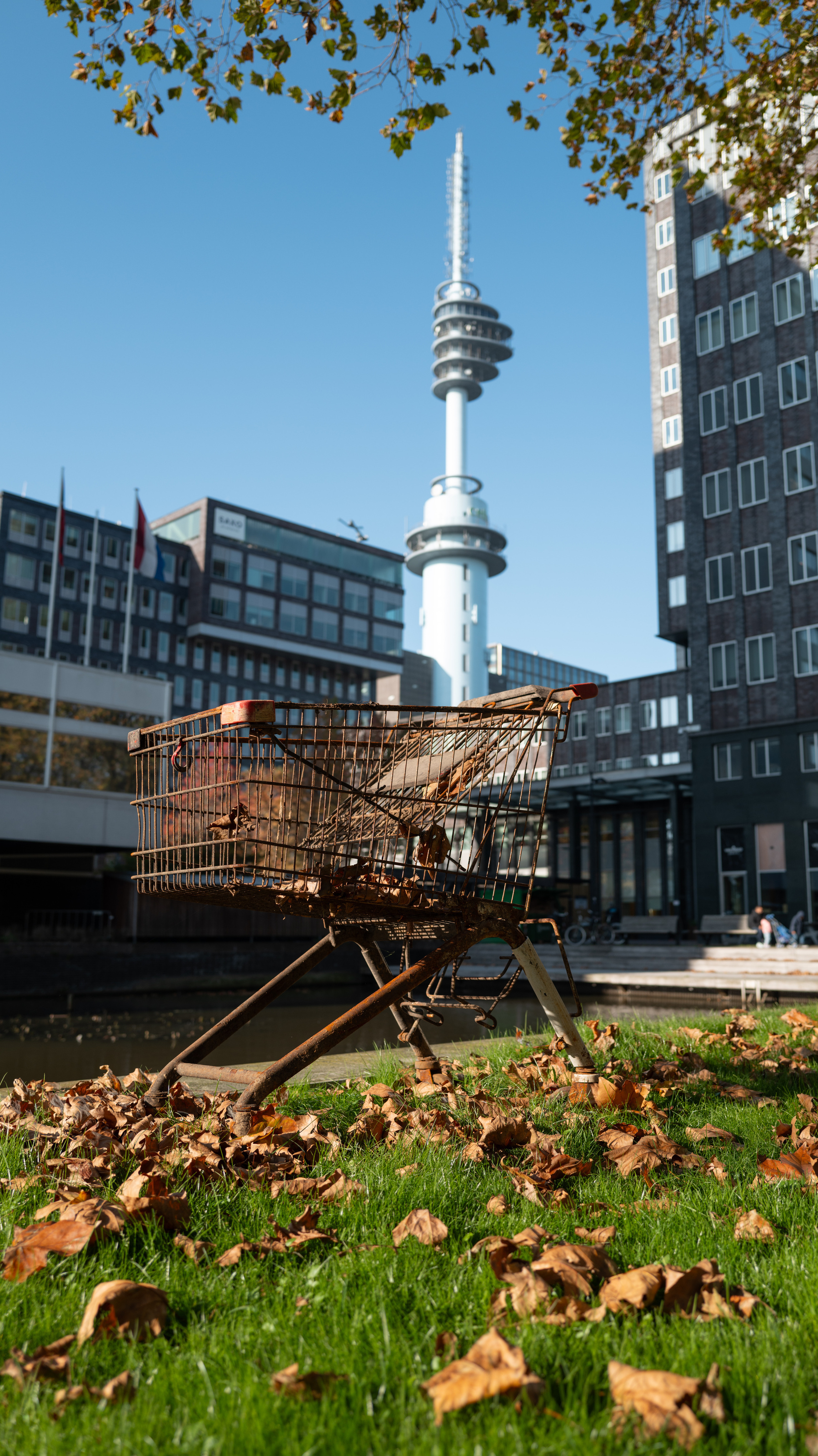 Shopping cart covered in rust standing on grass that is covered with a good number of brown and gold leaves that have fallen from the tree above. The cart is framed roughly at knee height looking up and into the distance. In the background and slightly out of focus, a modern-looking radio tower is framed between one higher office building on the right and a smaller office building on rhetorical left. 