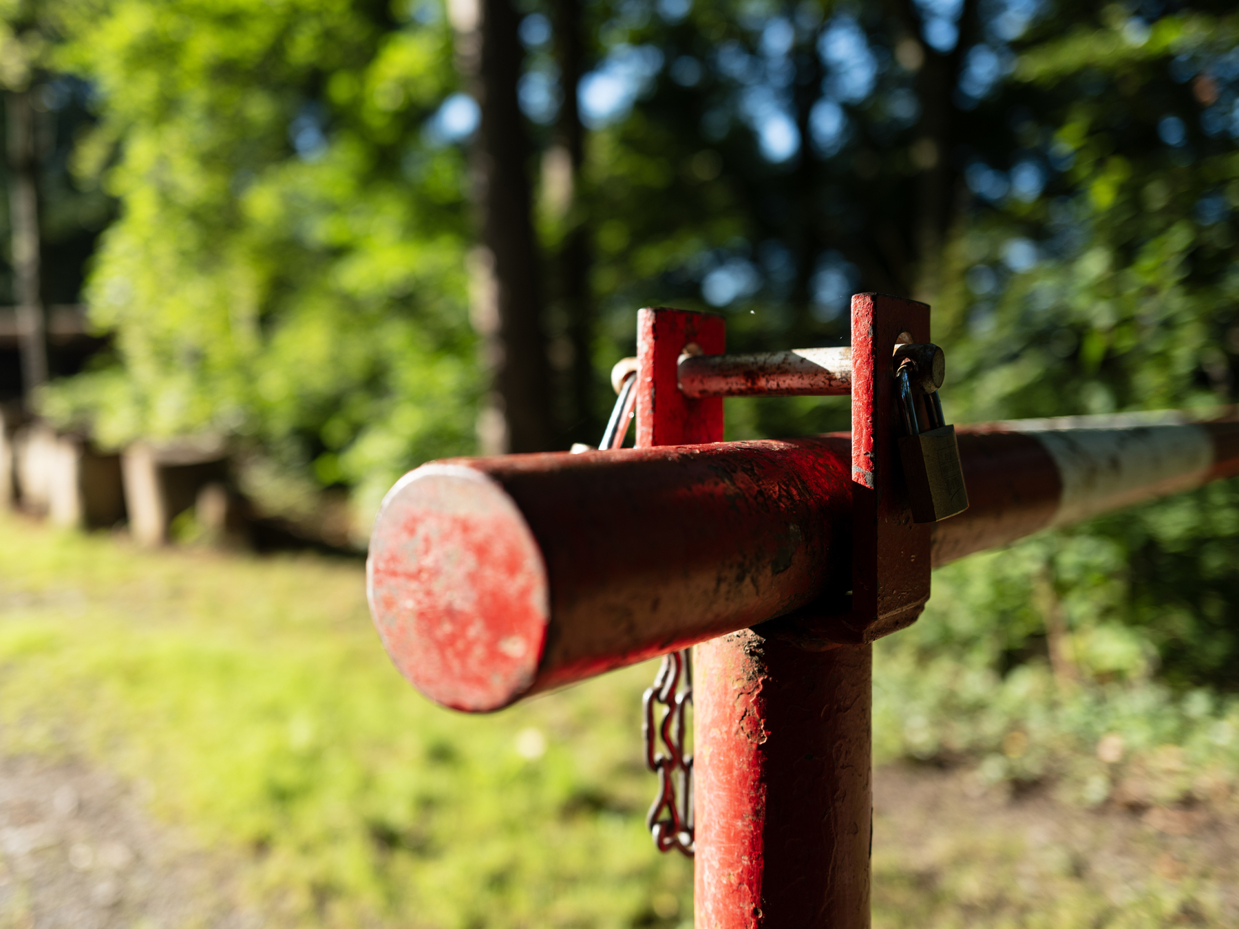 Front end of a red and white metal barrier pole shot in focus and illuminated by harsh sunlight while the greenery in the background is out of focus. 