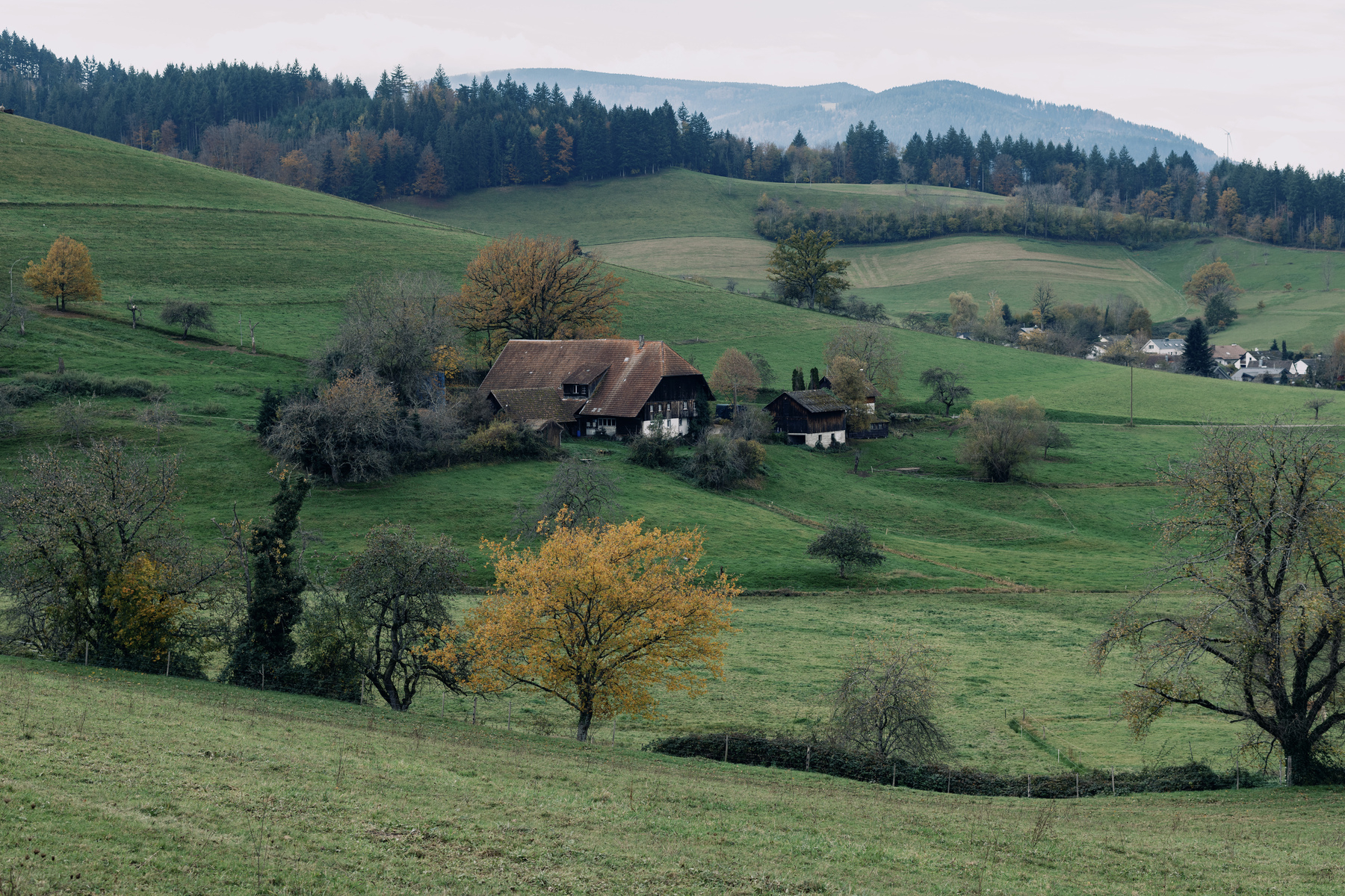 Center to the photo is a traditional black forest farm with a farm house with a tall roof extending almost to the ground in places. The farm is situated on a hill sloping down gently from the left to the right. The hill is scattered with trees in places, the rest is grass land. In the distance a hill ridge topped with trees is visible and some buildings in the valley in front of it. In the far background the sky and higher mountains can be seen veiled in mist.