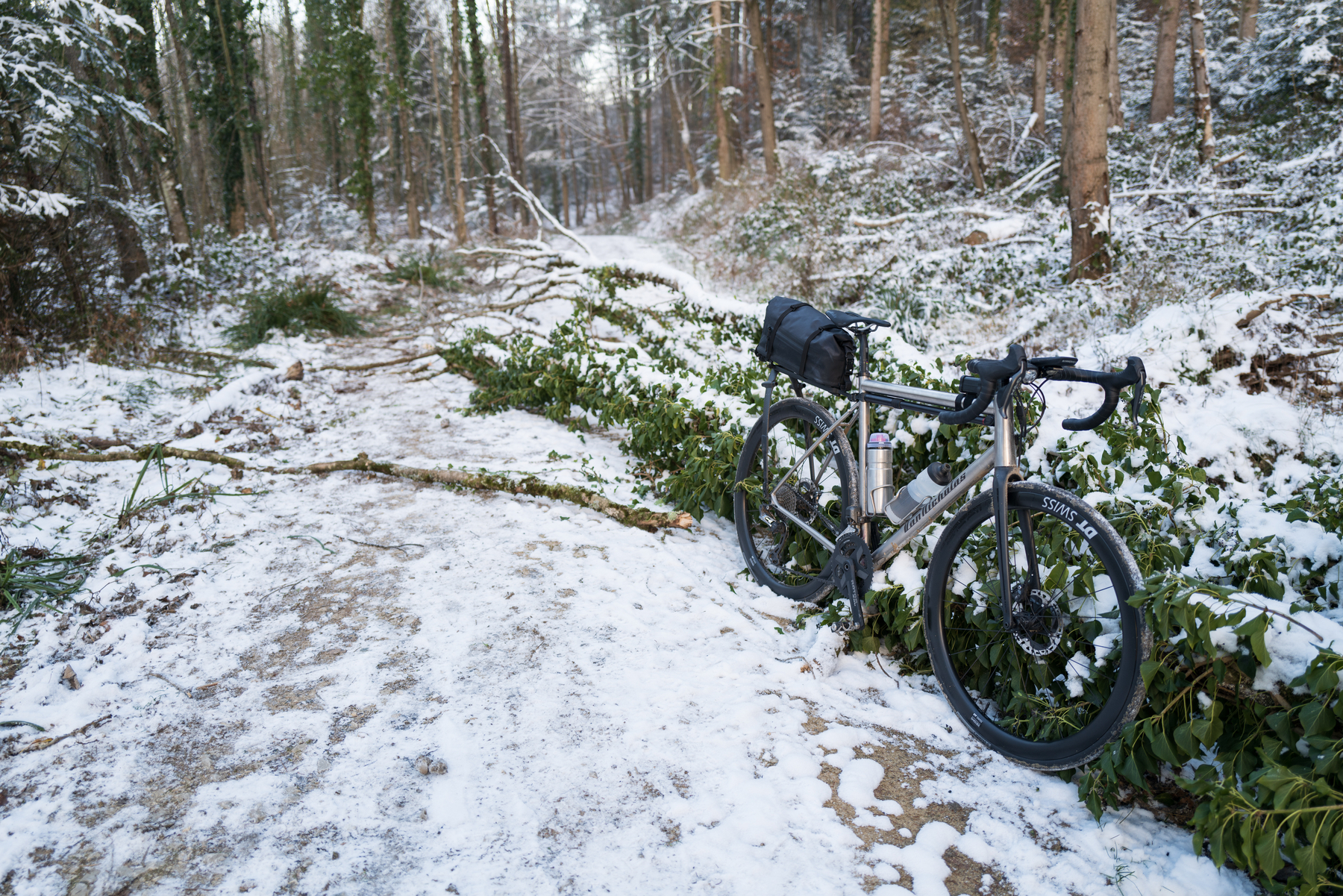 Titanium all-road bike with a black rear rack bag attached leaning against a tree that has fallen over and is blocking a forest path. The tree is overgrown with ivy. The forest is covered in snow. 