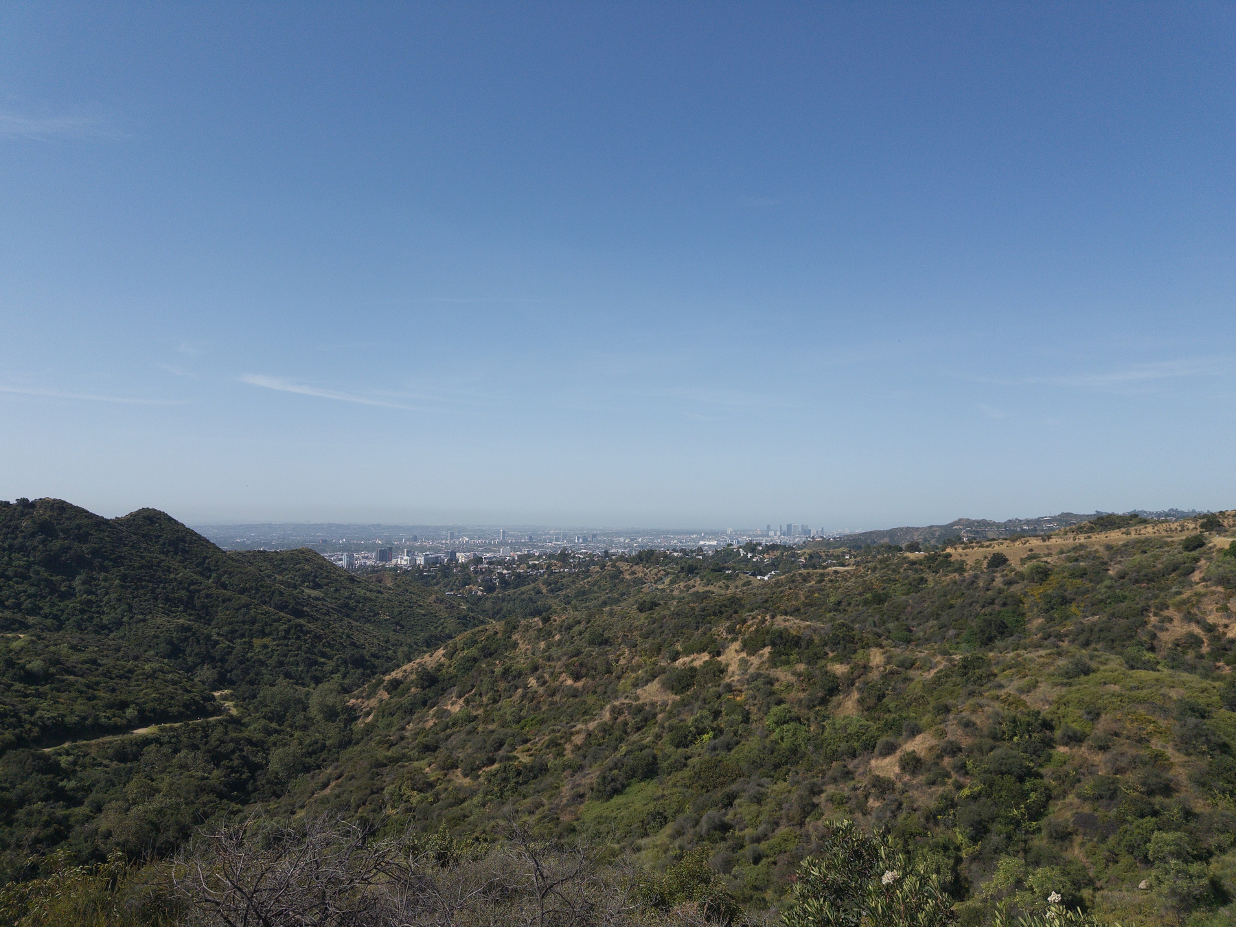 Auto-generated description: A scenic view showcases a sprawling city skyline in the distance, framed by rolling green hills under a clear blue sky.