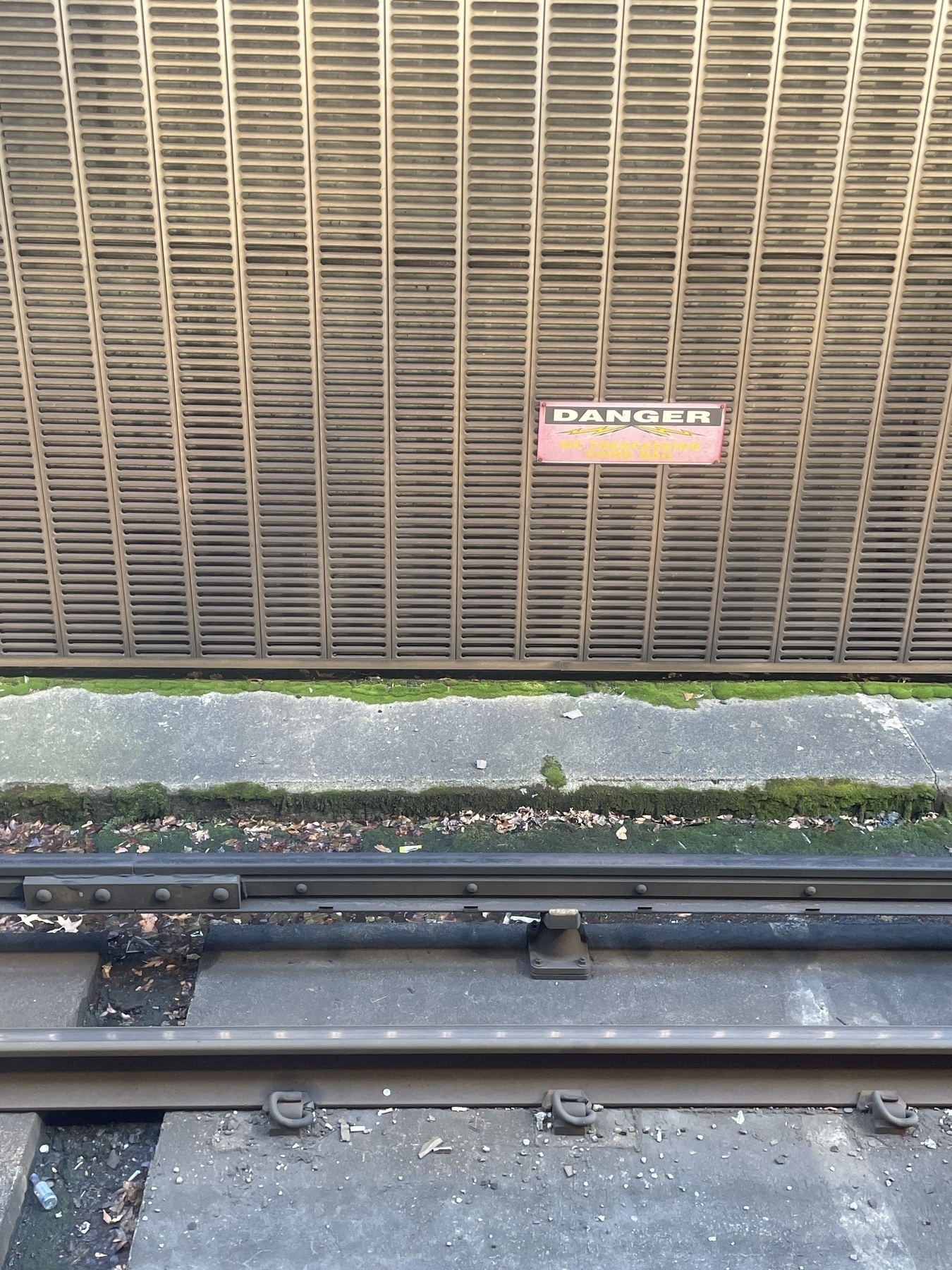 The rails at my work subway station, with a metal wall and “danger” sign above, and a line of bright green moss lining the pavement. 