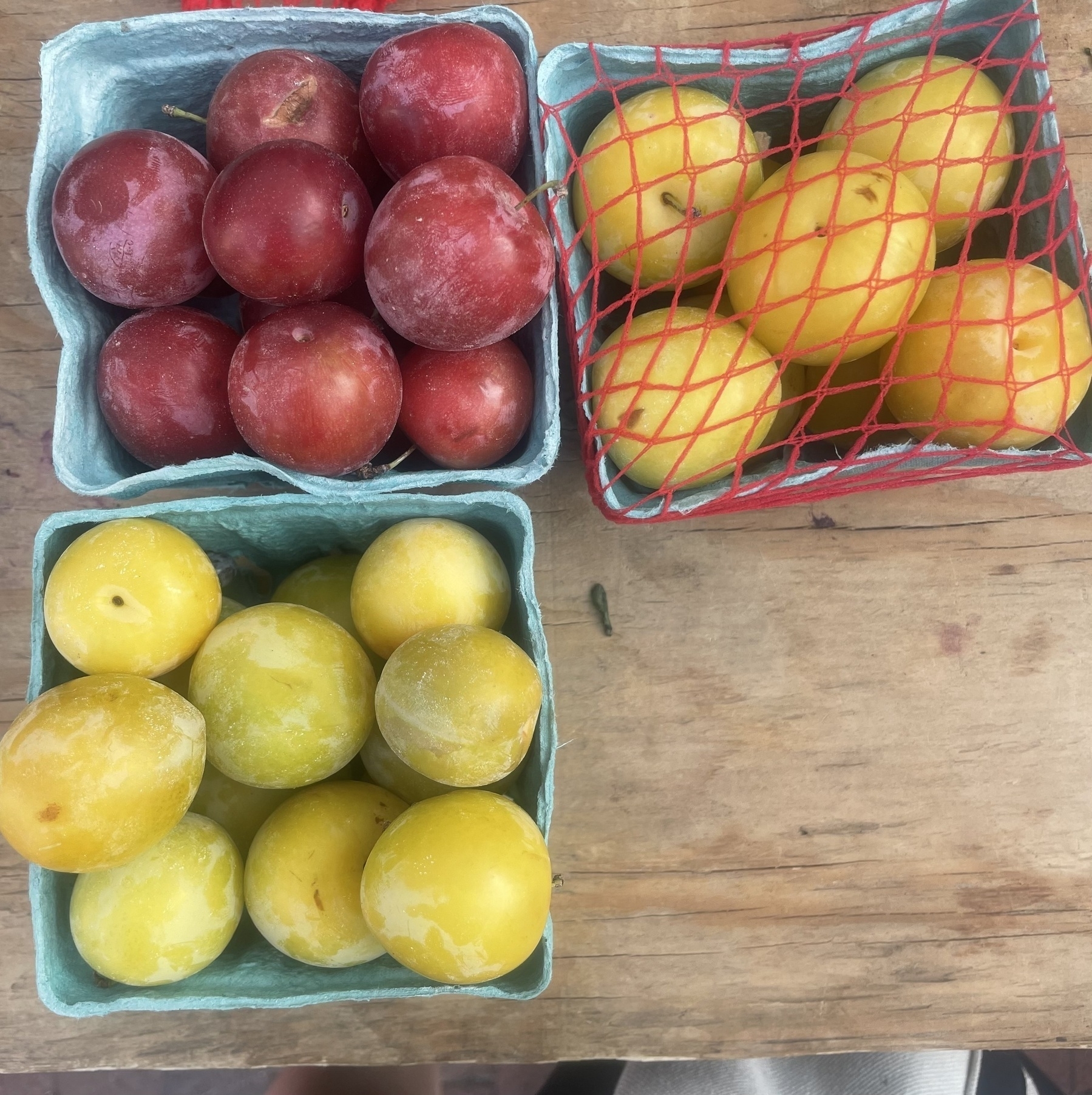 Three farmers’ market containers of plums, yellow and red 