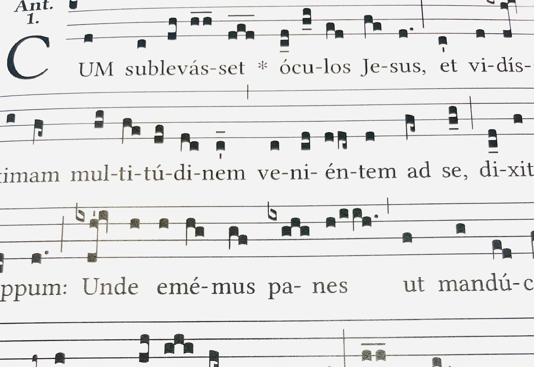 the square notation developed by monks for singing the daily office 